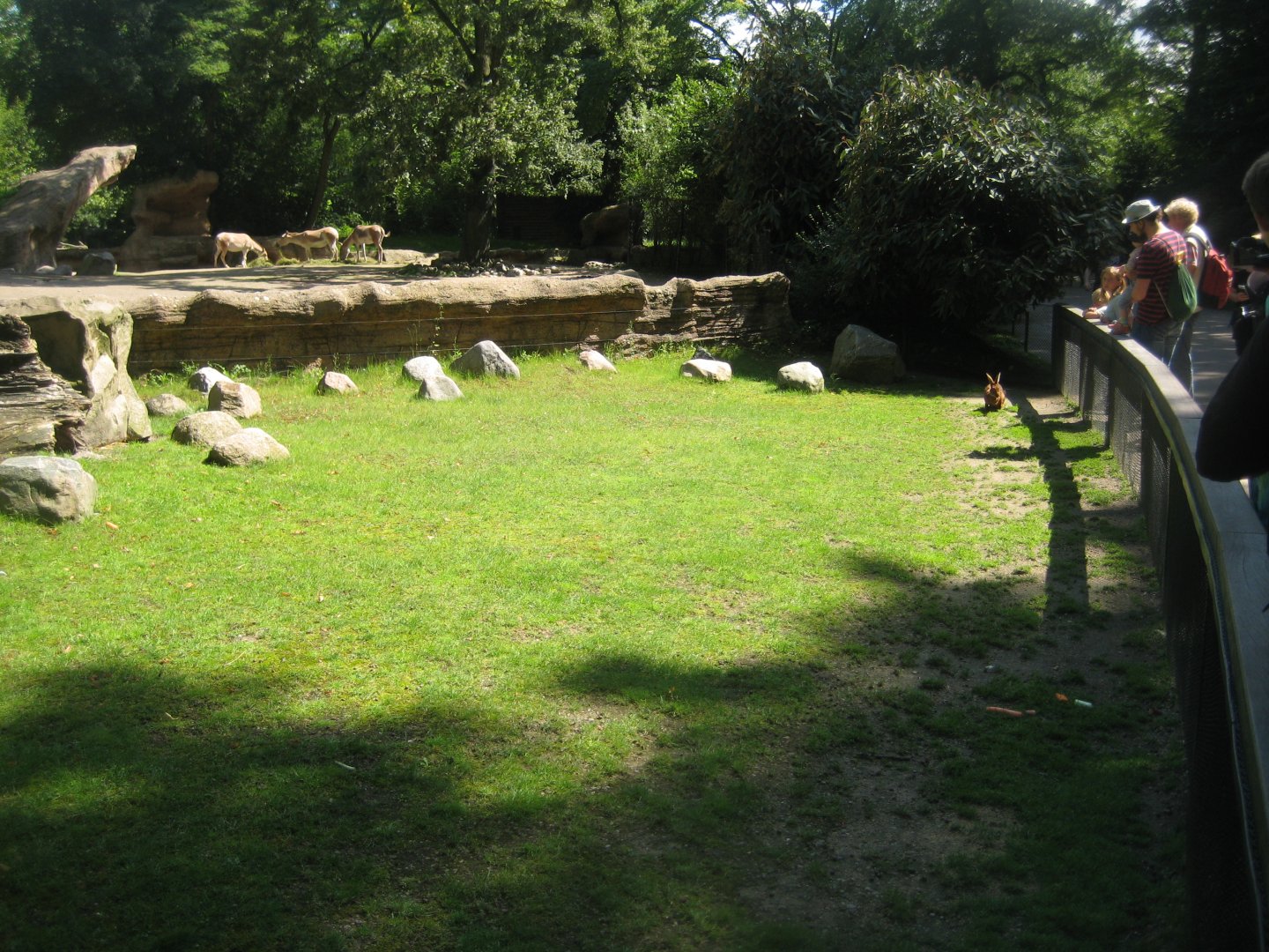 Tierpark Hagenbeck - Rabbit exhibit