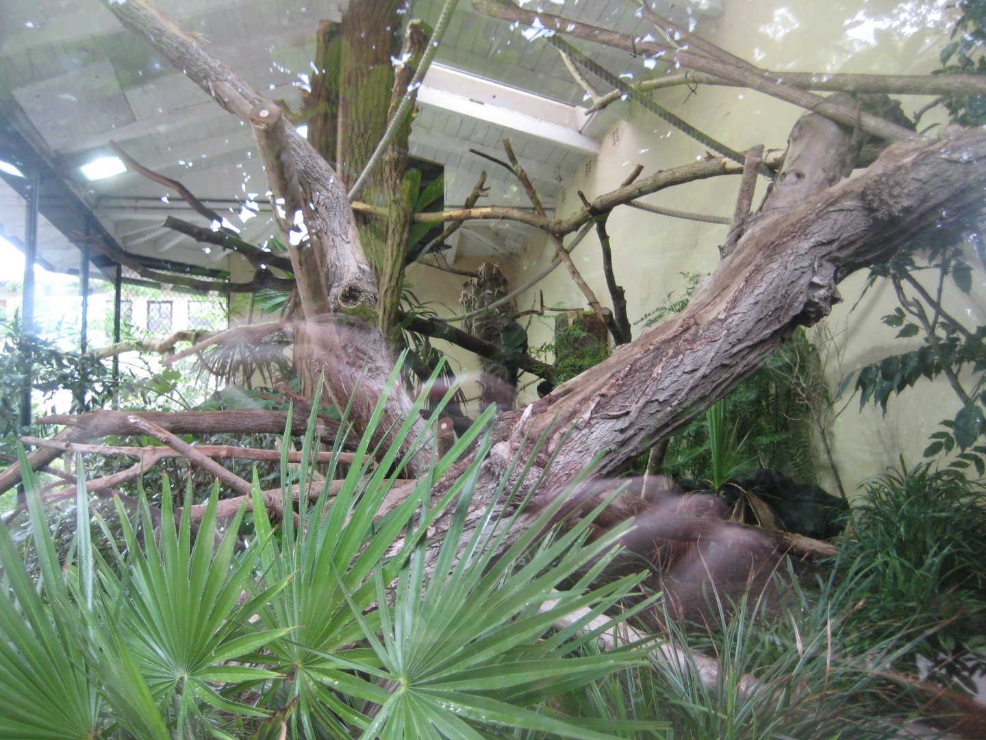 Tierpark Hagenbeck - South American rainforest exhibit