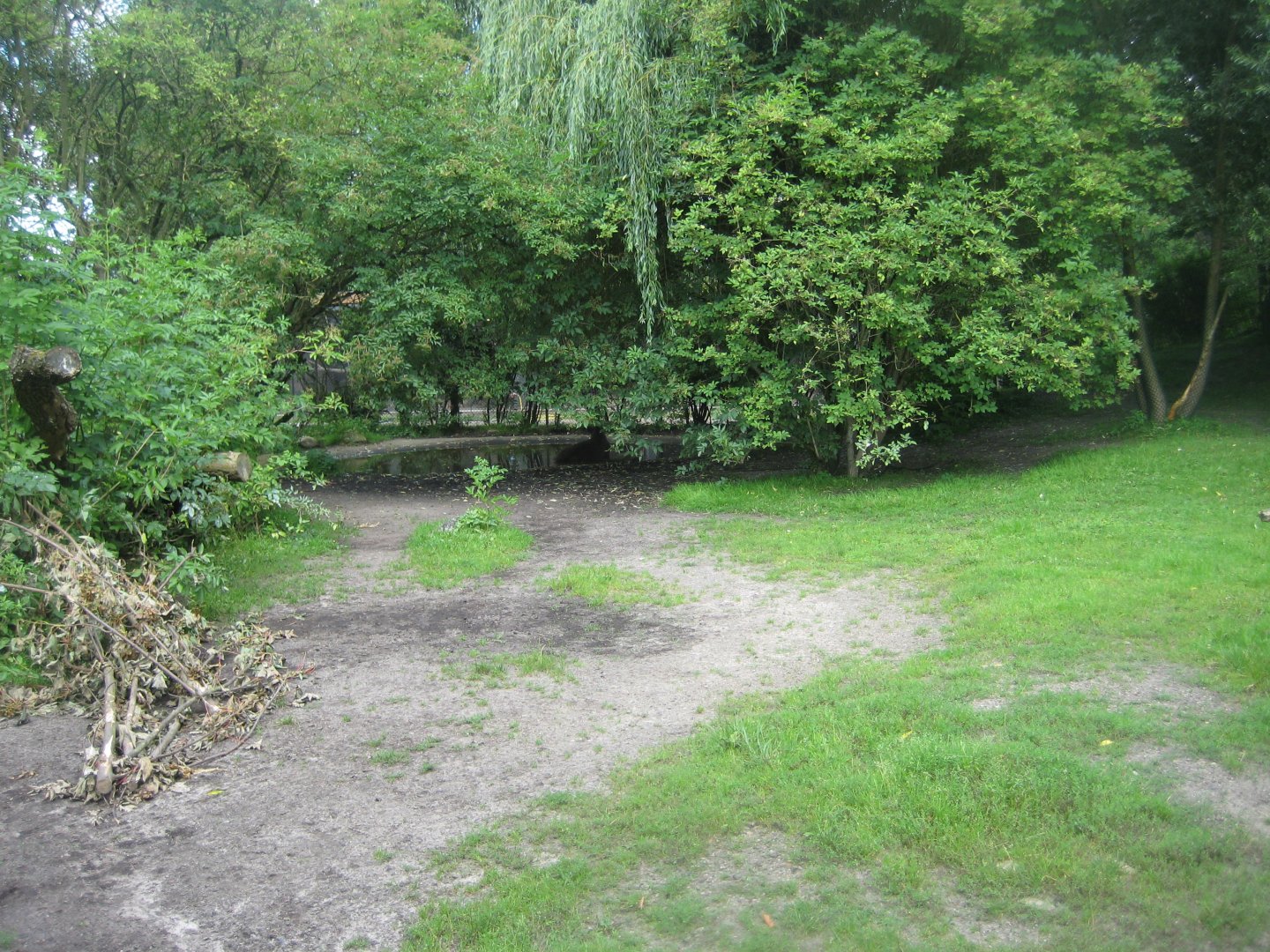 Tierpark Hagenbeck - Tapir exhibit