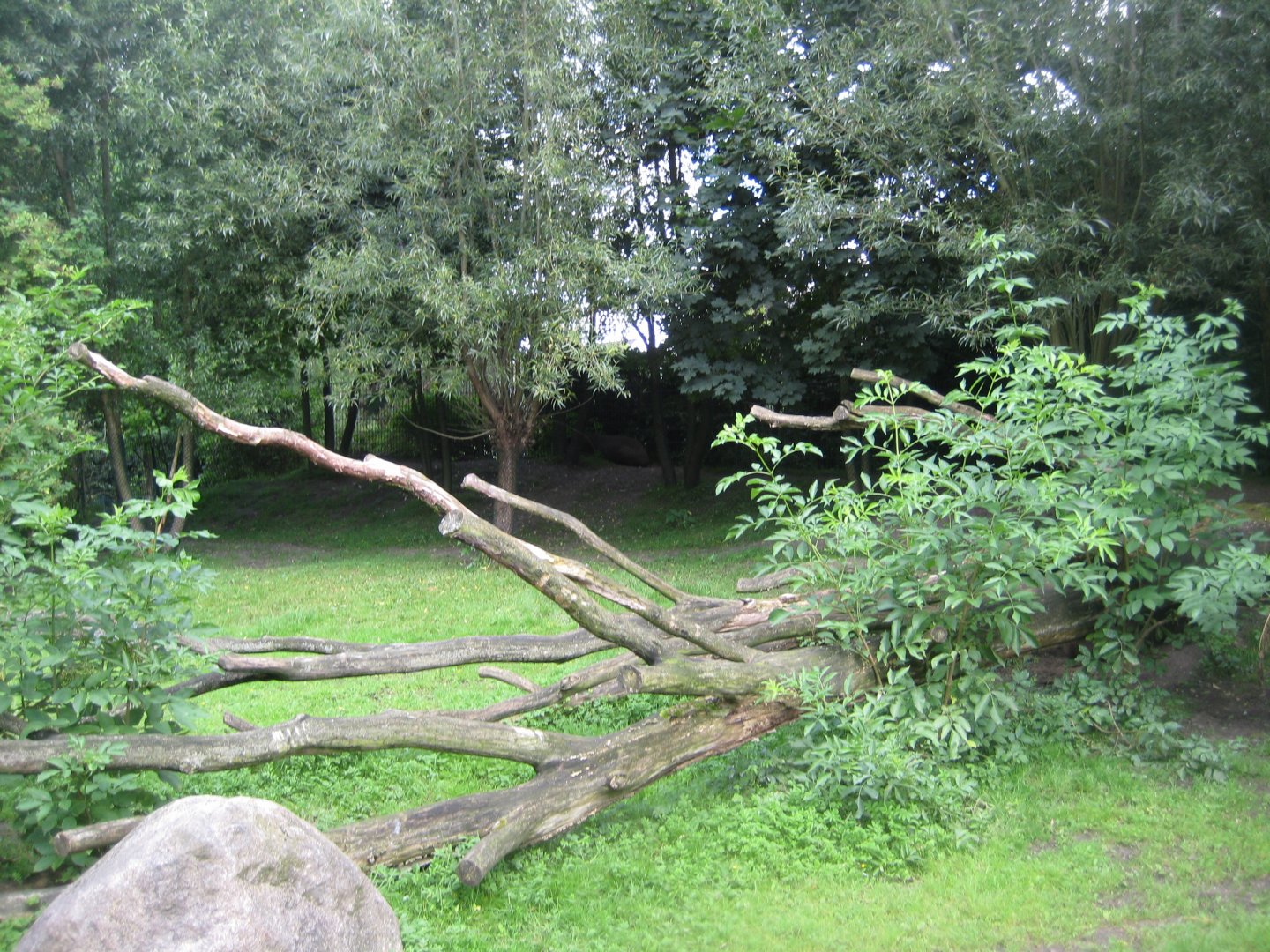 Tierpark Hagenbeck - Tapir exhibit