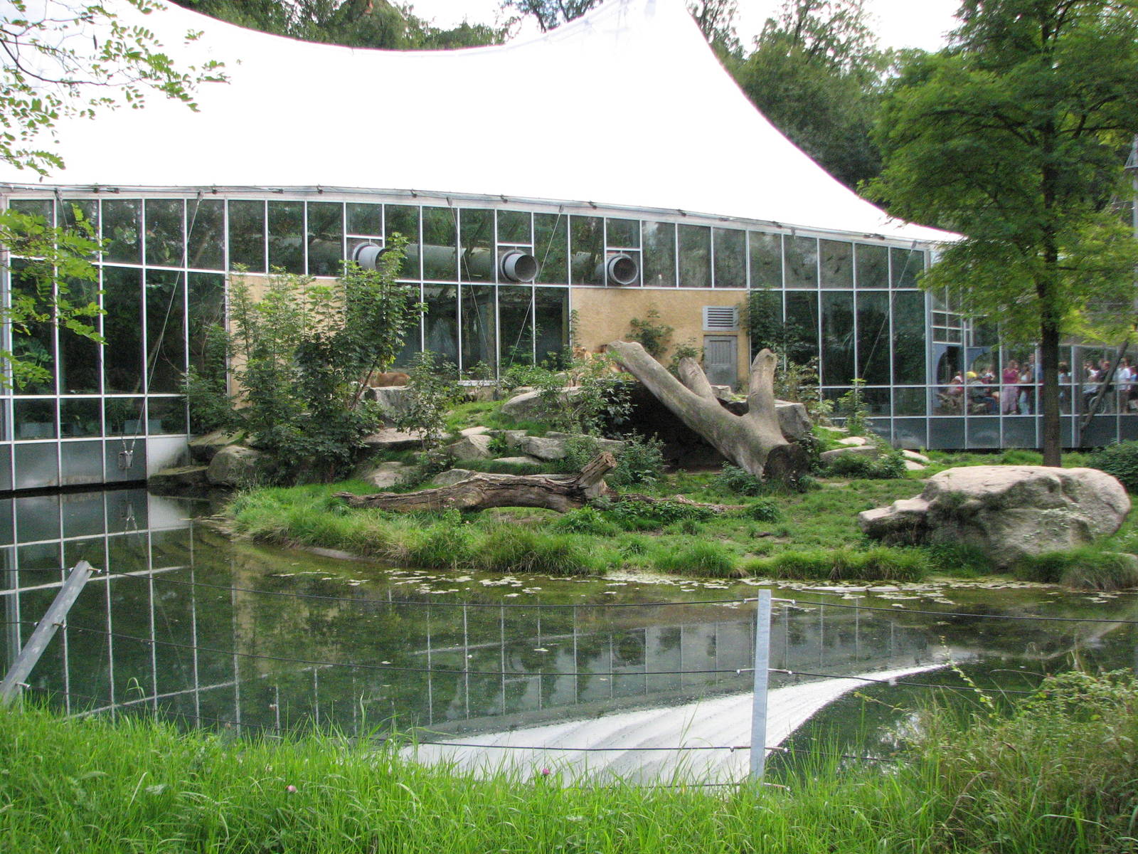 Tierpark Hellabrunn 2006 - African Lion exhibit