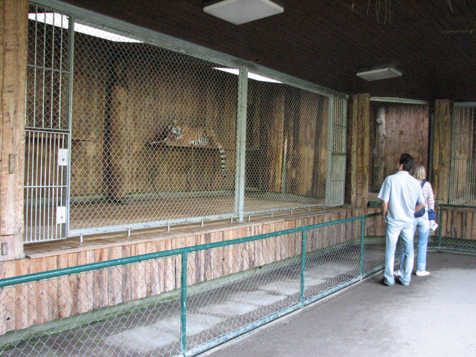 Tierpark Hellabrunn 2006 - Holding area for the Siberian Tiger exhibit