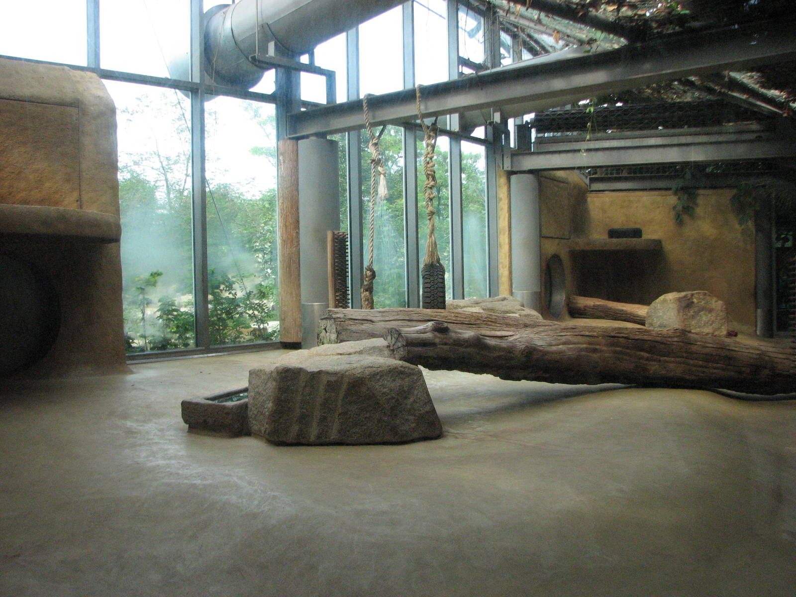 Tierpark Hellabrunn 2006 - Indoor African Lion exhibit