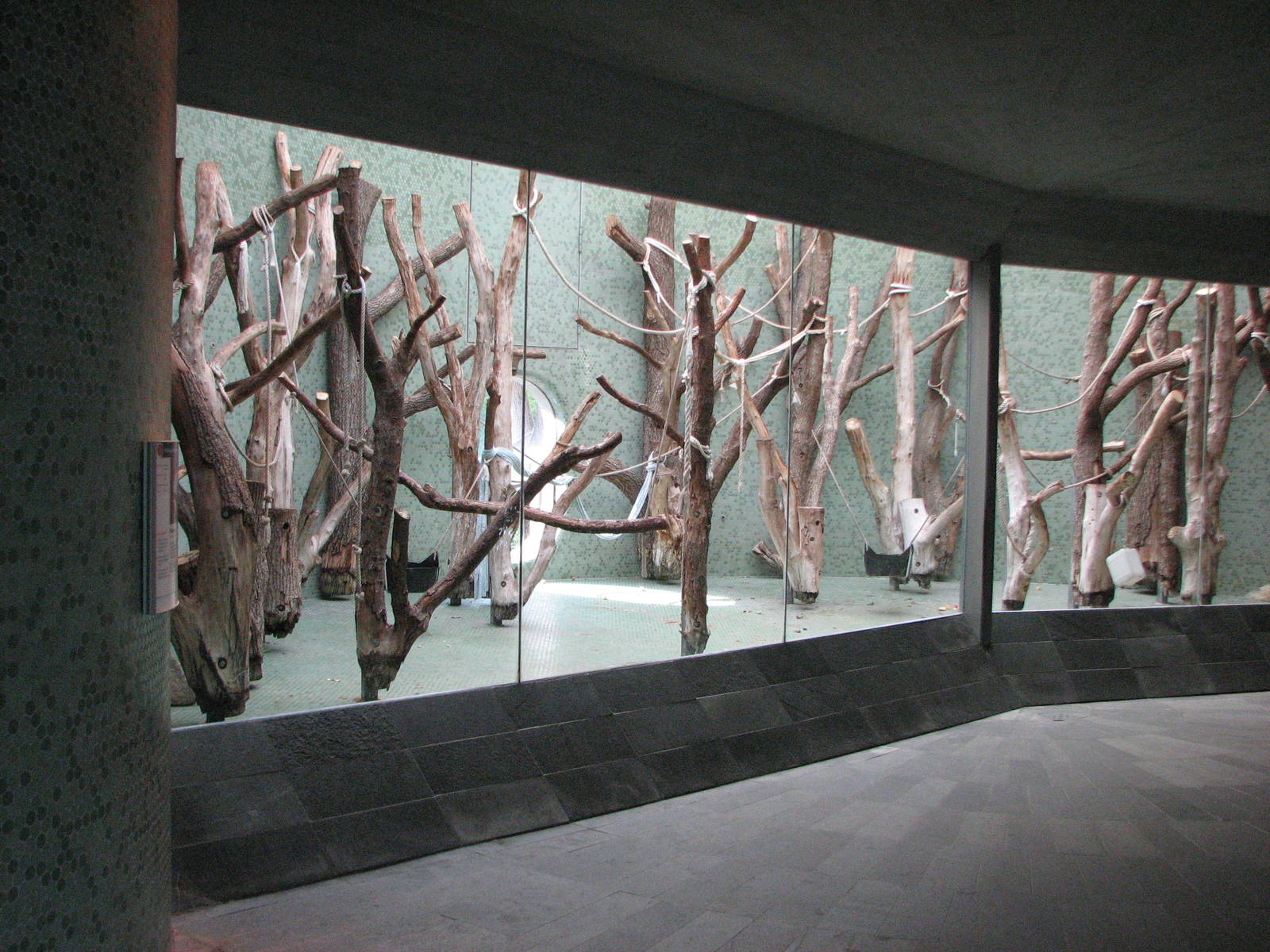 Tierpark Hellabrunn 2006 - Indoor monkey exhibit