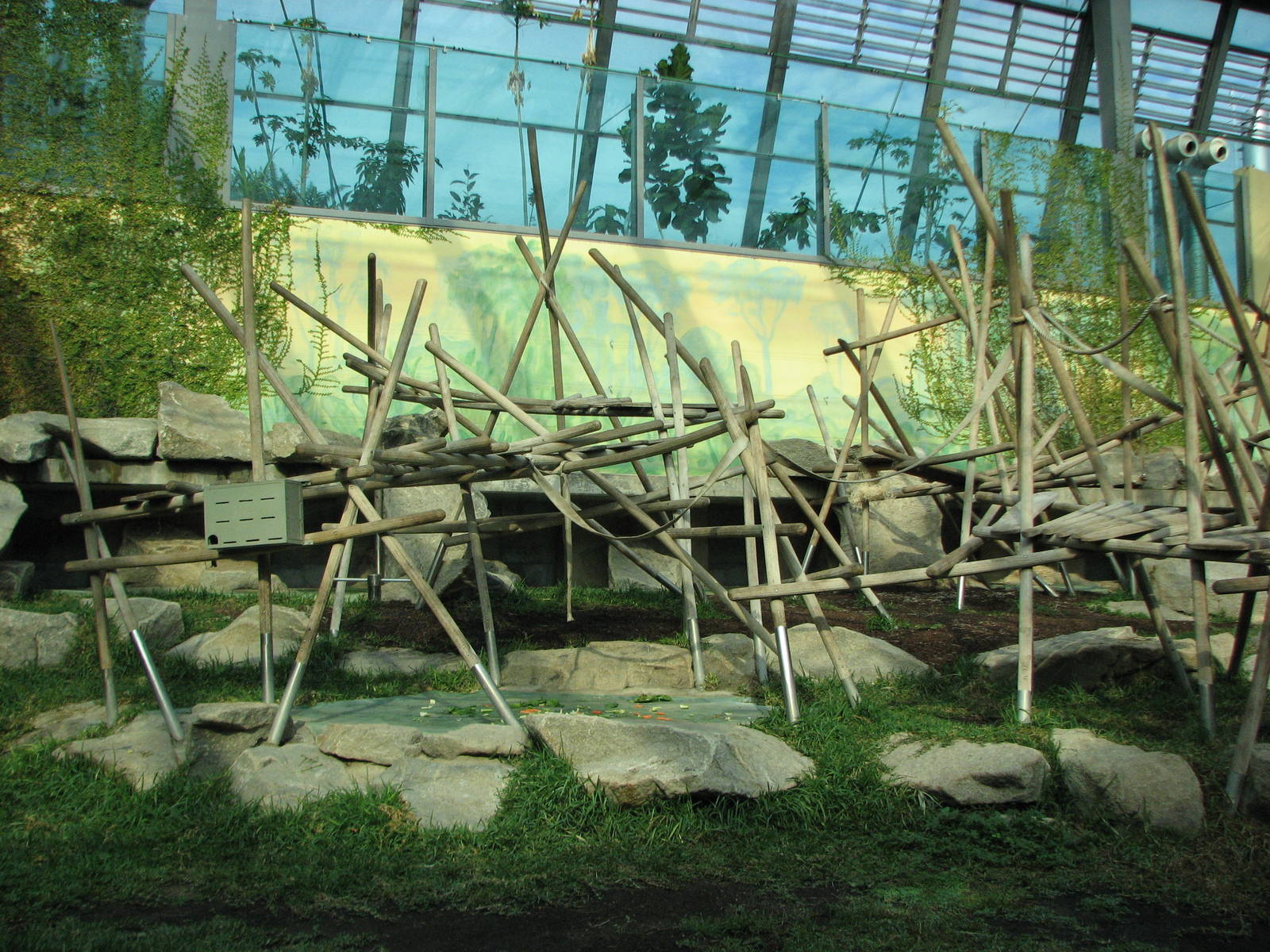 Tierpark Hellabrunn 2006 - New indoor gorilla exhibit