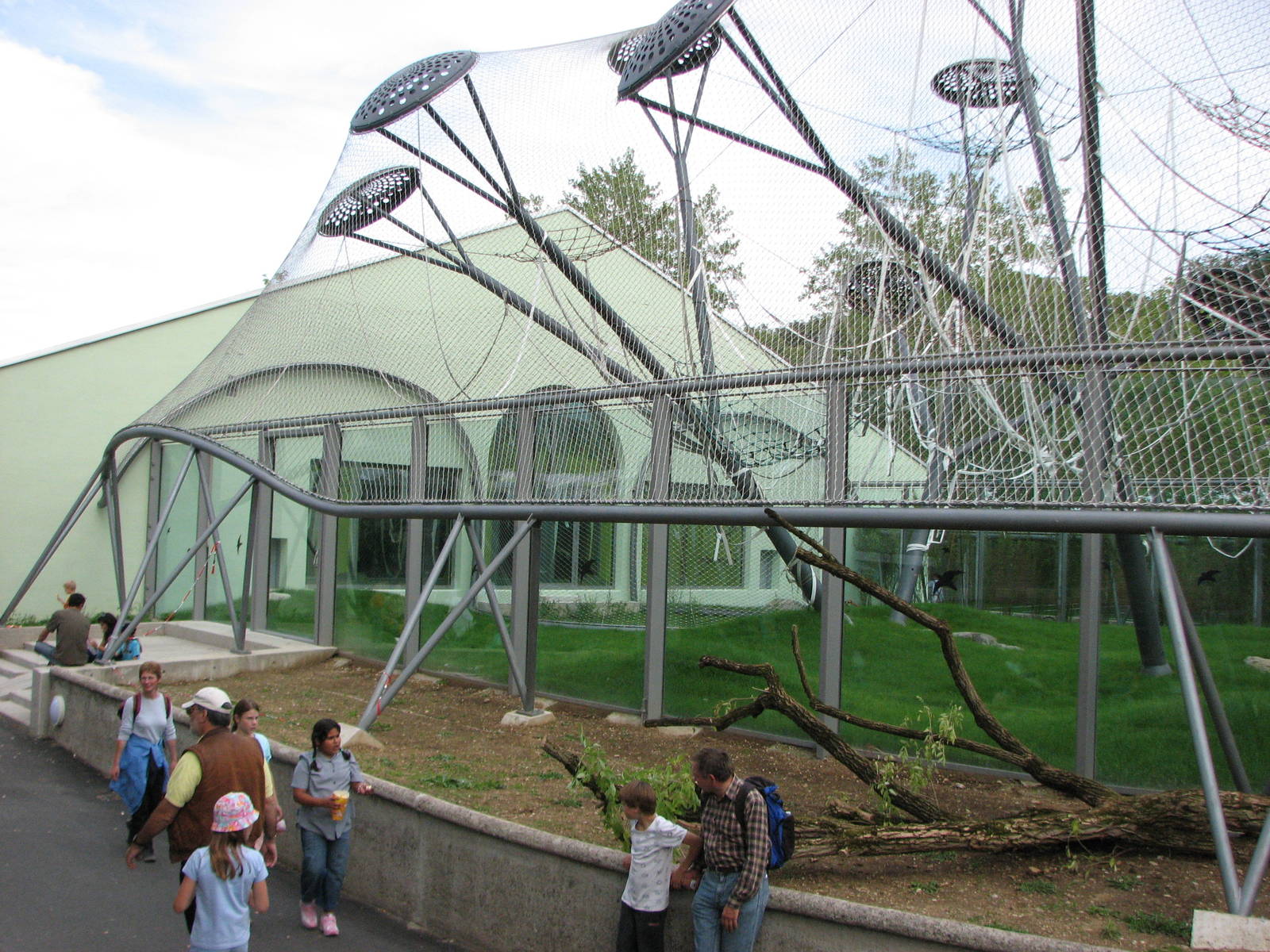 Tierpark Hellabrunn 2006 - New outdoor Sumatran Orangutan exhibit from the