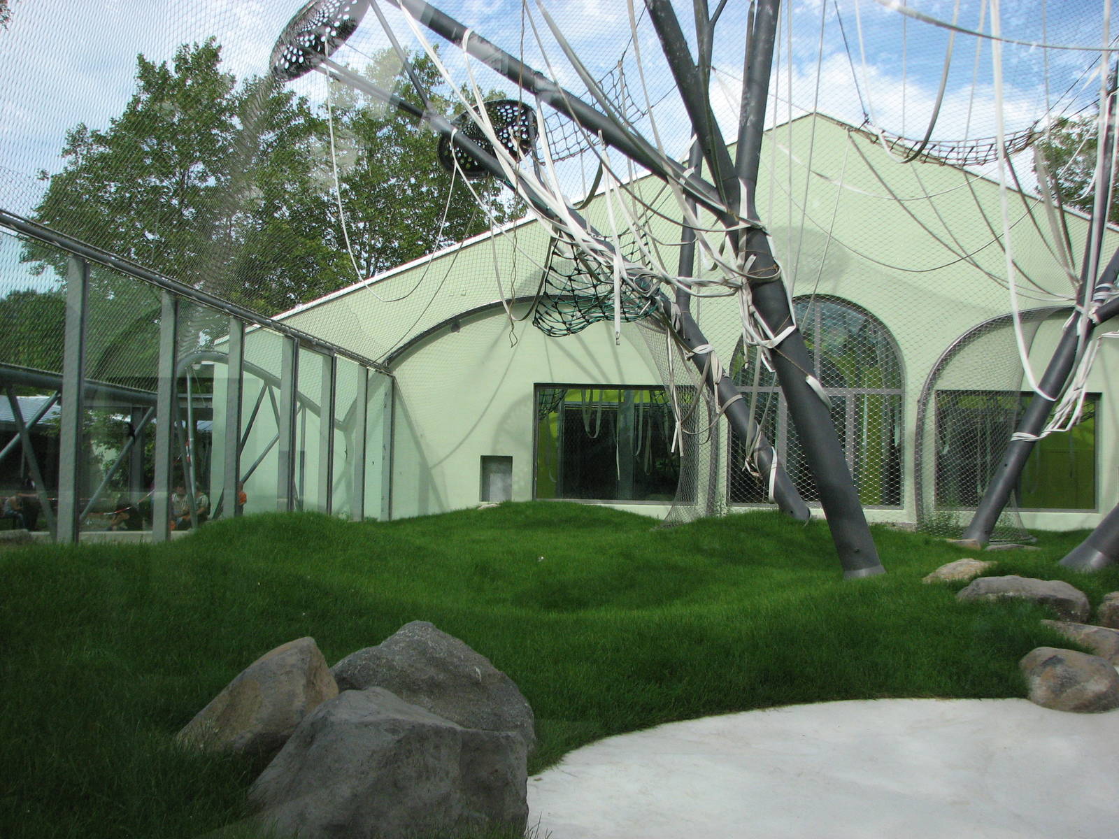 Tierpark Hellabrunn 2006 - New outdoor Sumatran Orangutan exhibit on the in