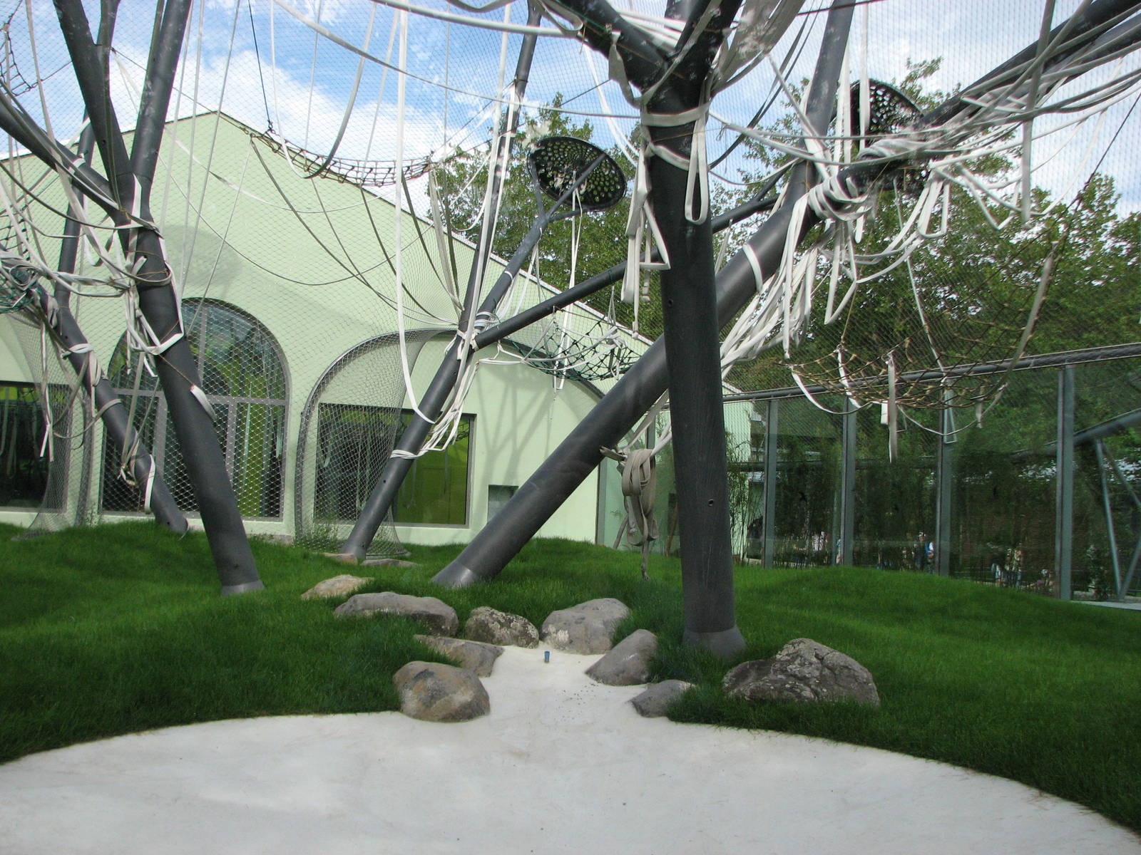 Tierpark Hellabrunn 2006 - New outdoor Sumatran Orangutan exhibit to the ri