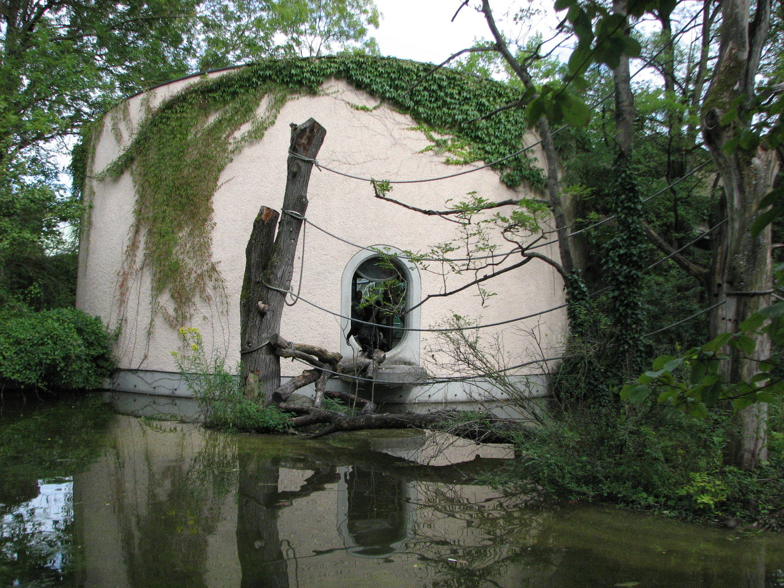 Tierpark Hellabrunn 2006 - Outdoor monkey exhibit