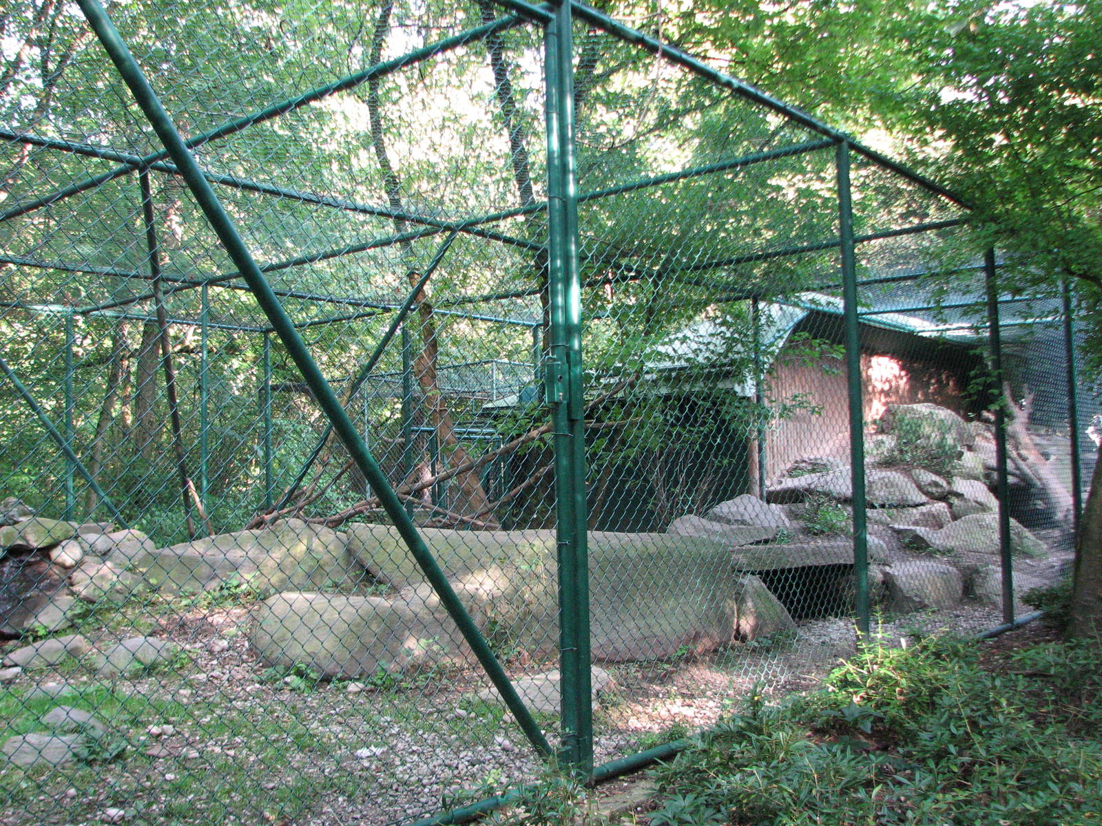 Tierpark Hellabrunn 2006 - Puma enclosure