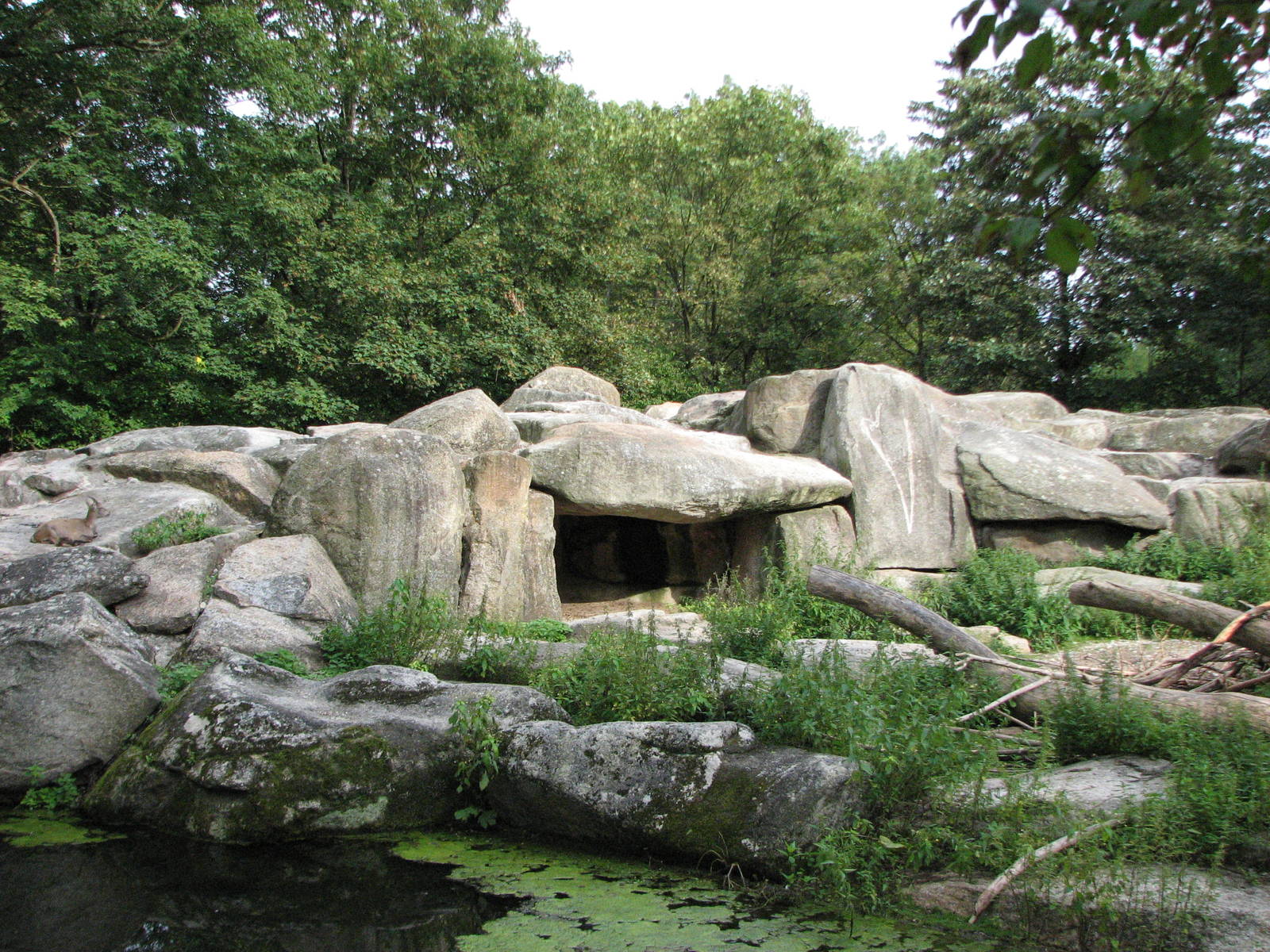 Tierpark Hellabrunn 2006 - Rocky Mountain Goat exhibit