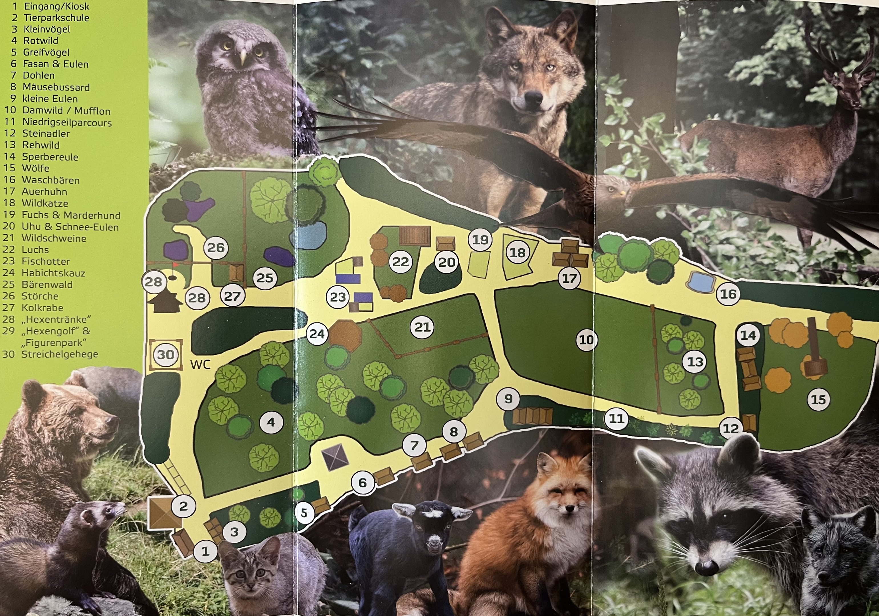 Tierpark Hexentanzplatz Thale Map - undated