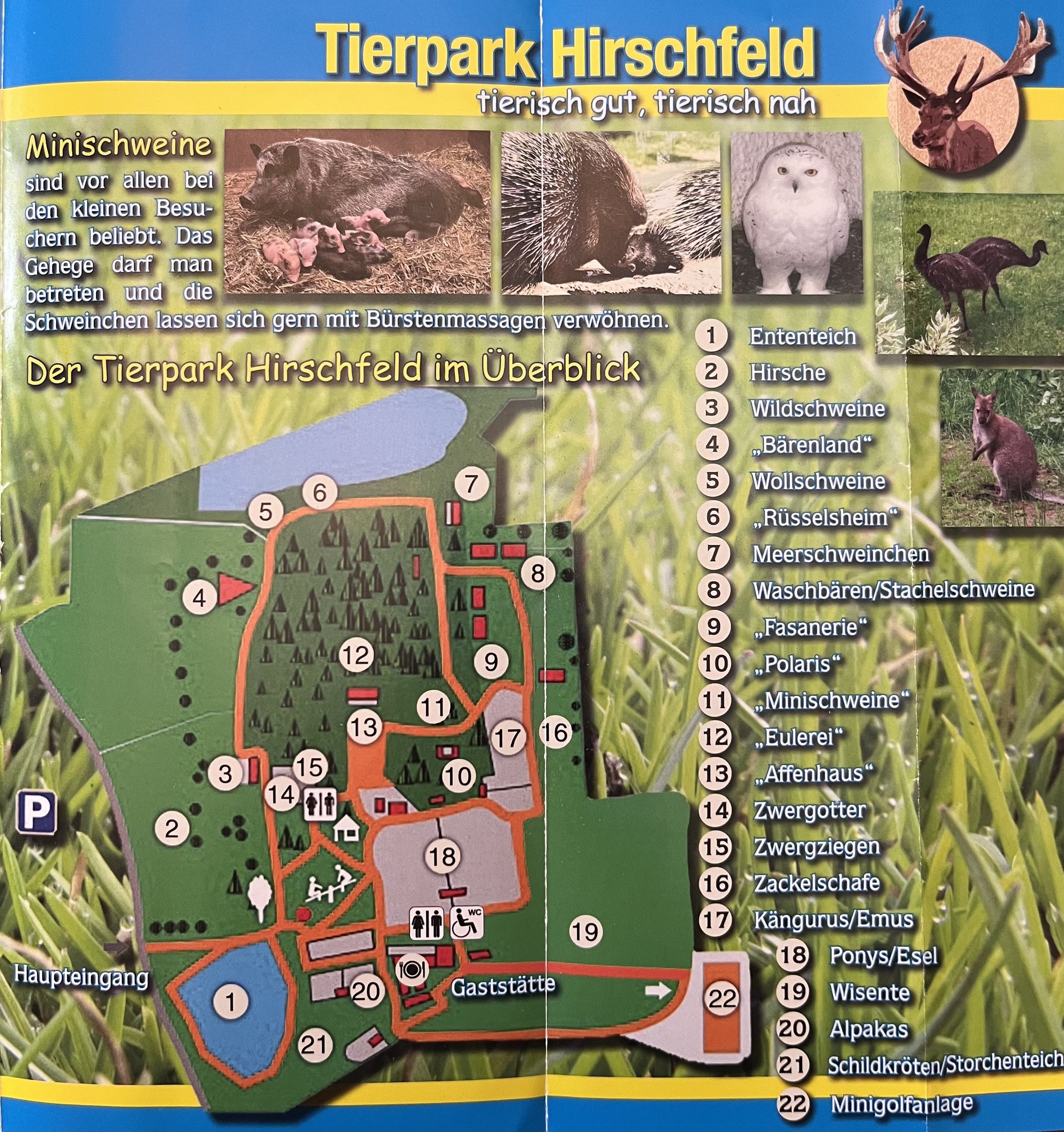 Tierpark Hirschfeld Map - undated