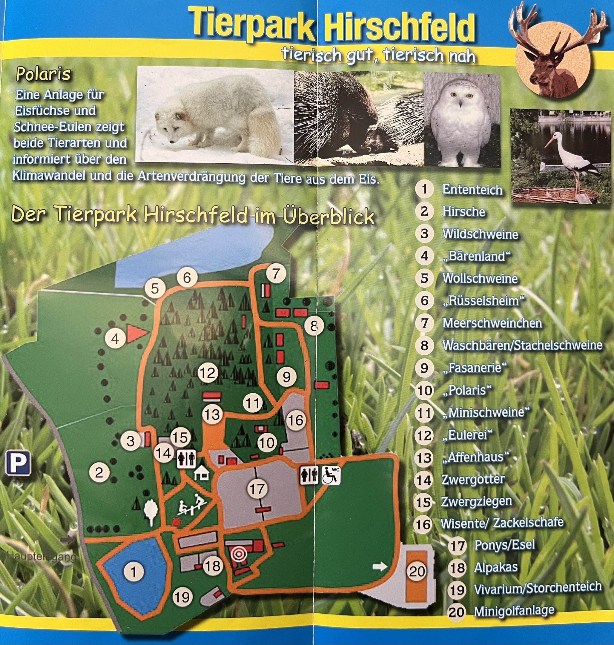 Tierpark Hirschfeld Map - undated