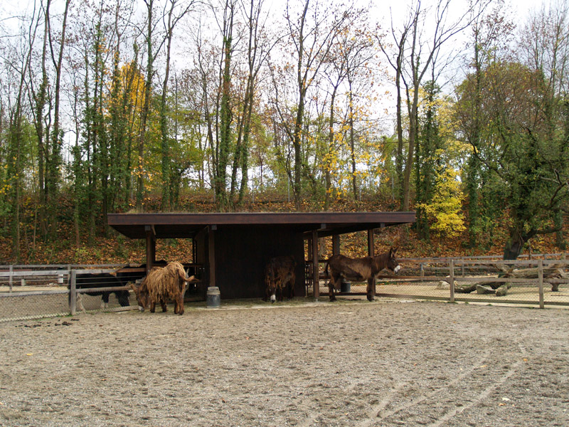 Tierpark Lange Erlen - Farm