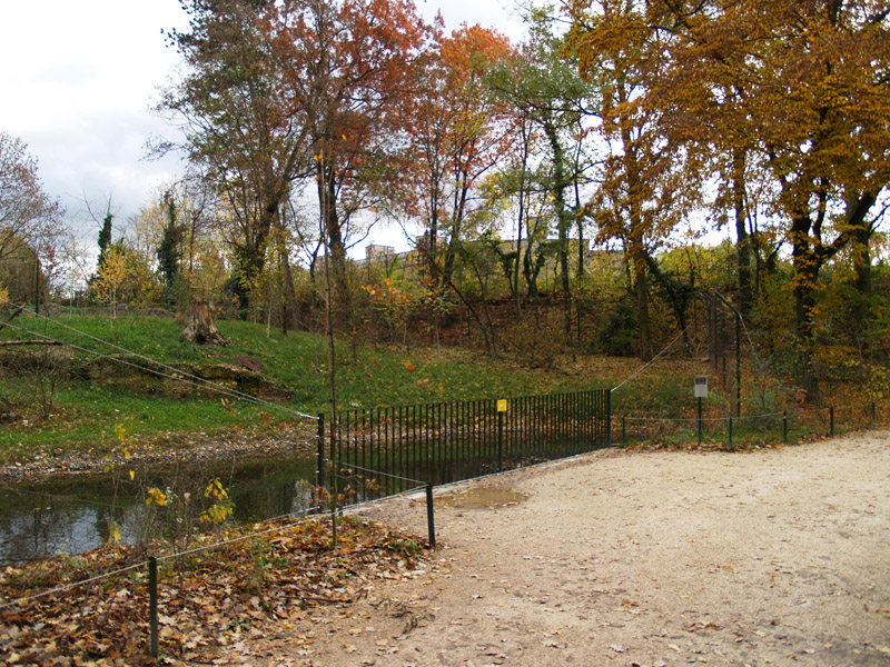 Tierpark Lange Erlen - Lynx exhibit