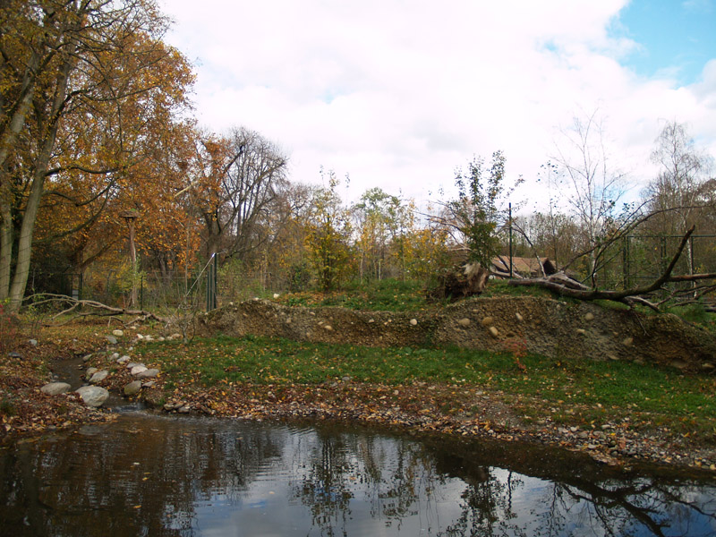 Tierpark Lange Erlen - Lynx exhibit
