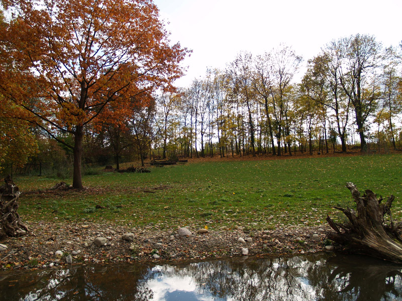 Tierpark Lange Erlen - Reed der exhibit
