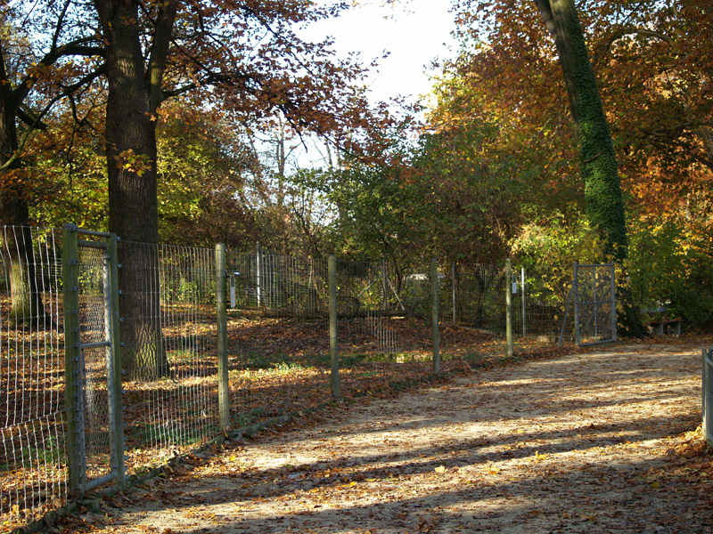 Tierpark Lange Erlen - Roe deer exhibit