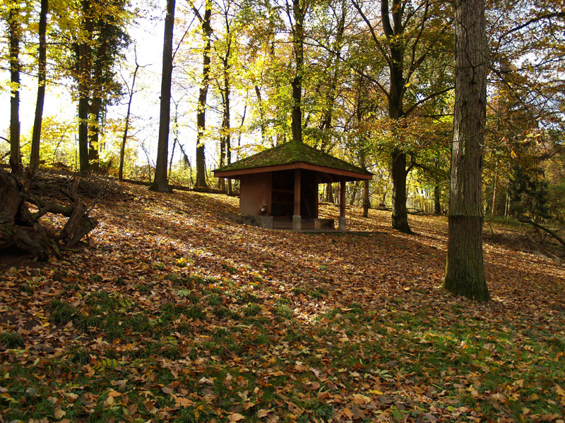 Tierpark Lange Erlen - Roe deer exhibit