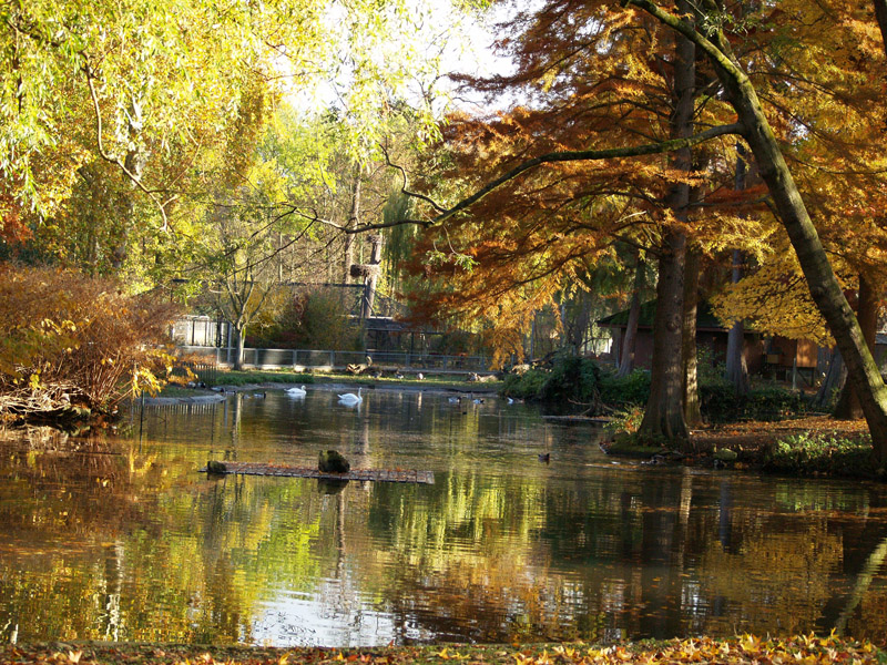 Tierpark Lange Erlen