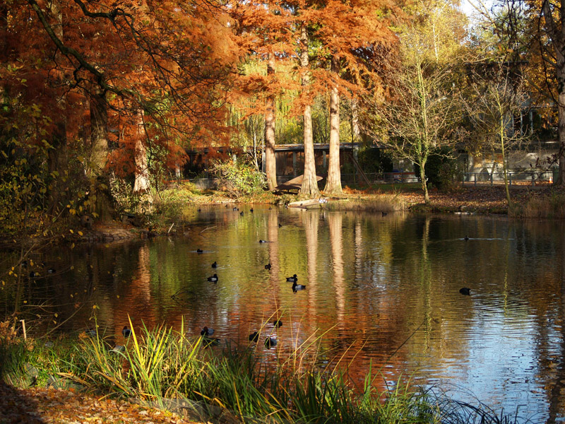 Tierpark Lange Erlen