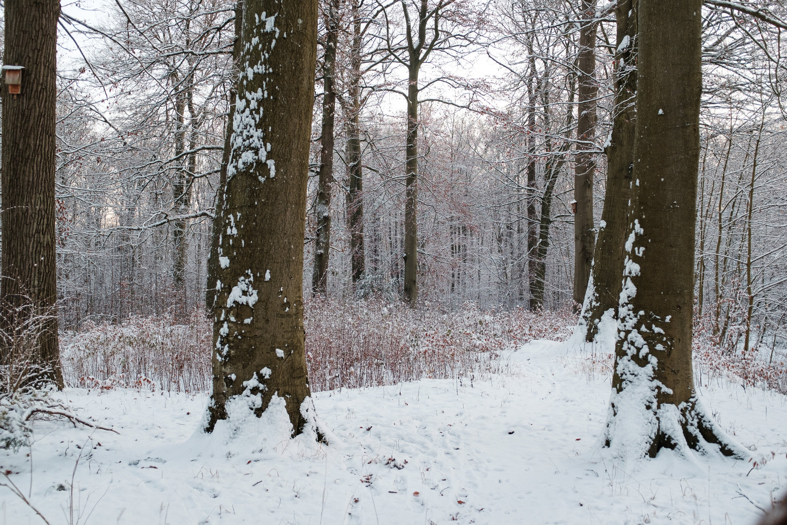 Tierpark Lübeck - Now all gone