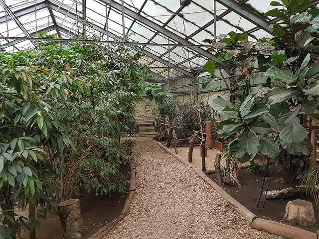 Tierpark Recklinghausen - Bird house