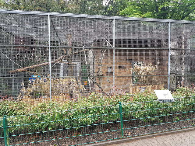 Tierpark Recklinghausen - Enclosure for Rhesus macaques