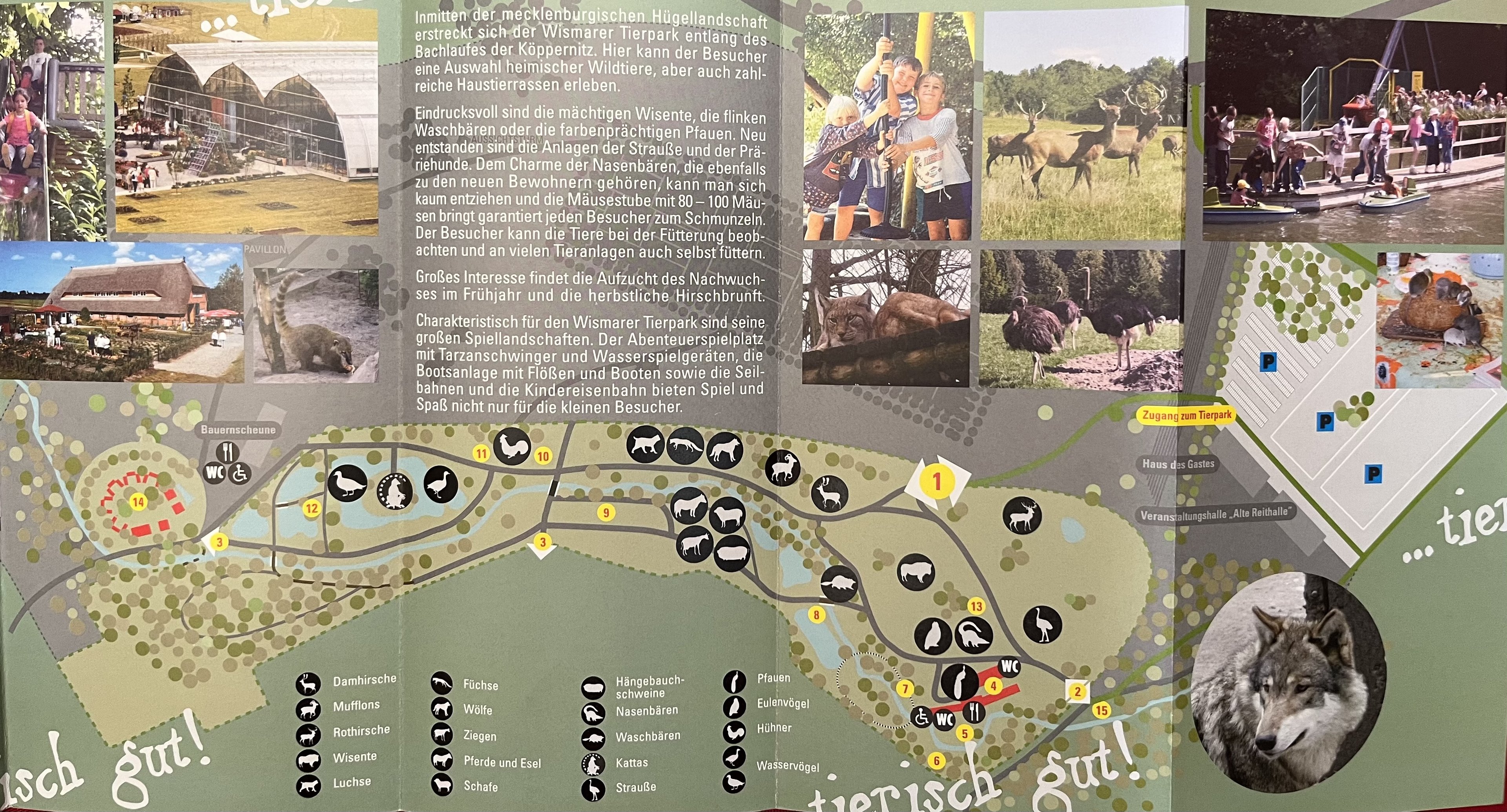 Tierpark Wismar Map - 2006