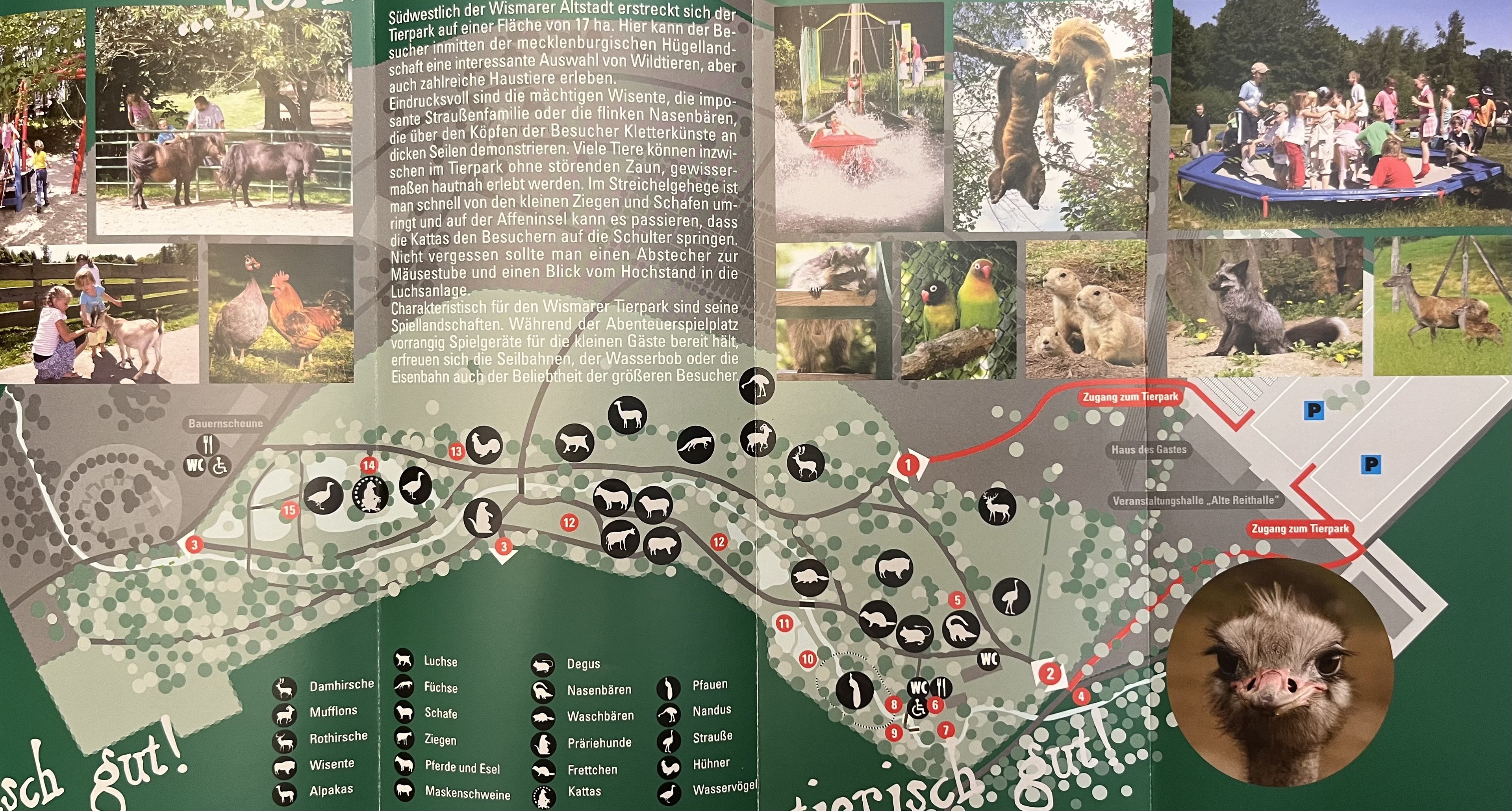 Tierpark Wismar Map - 2016