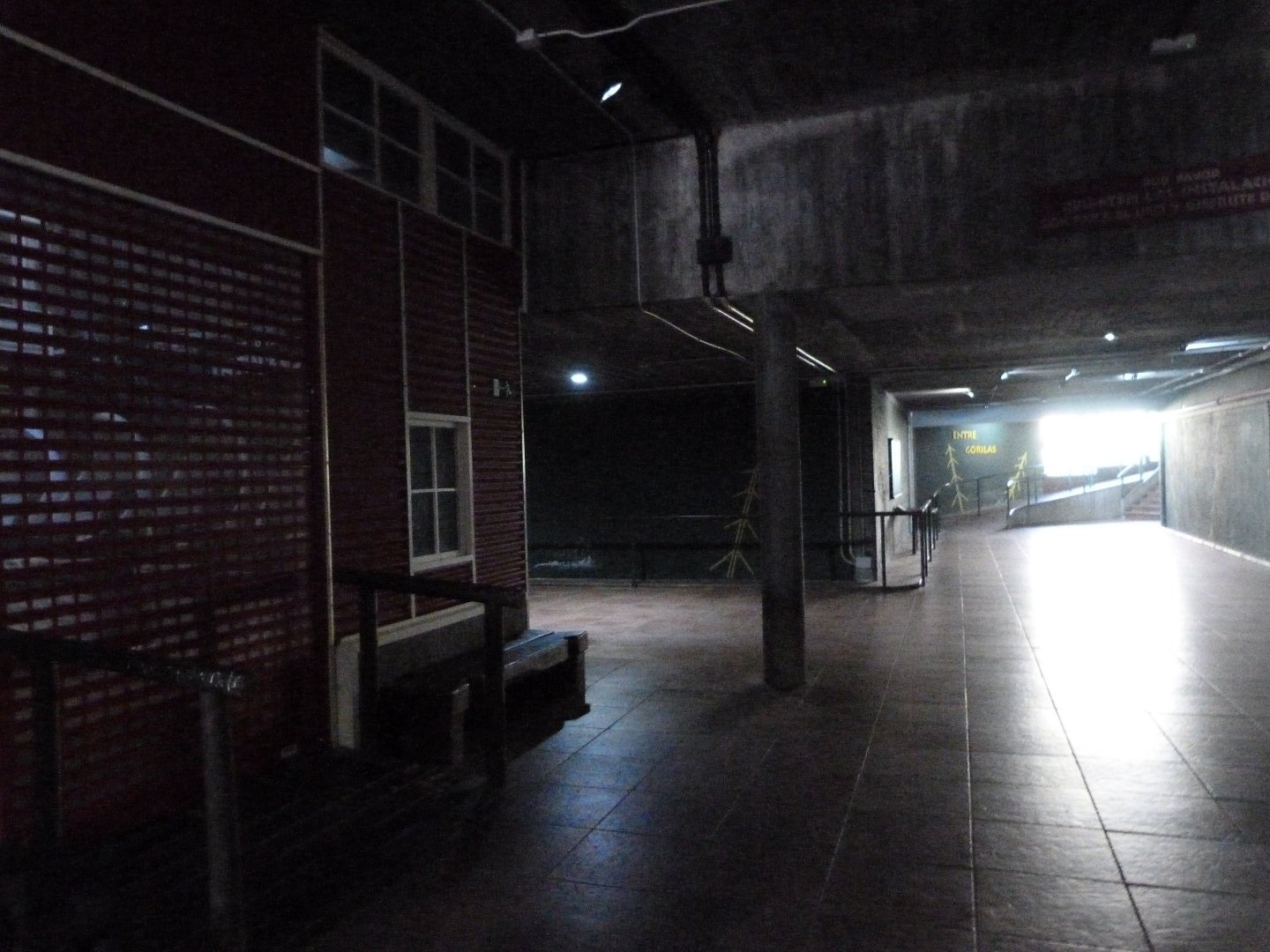 "Tierra de Gorilas" pavilion view -Zoo Aquarium de Madrid (2025)