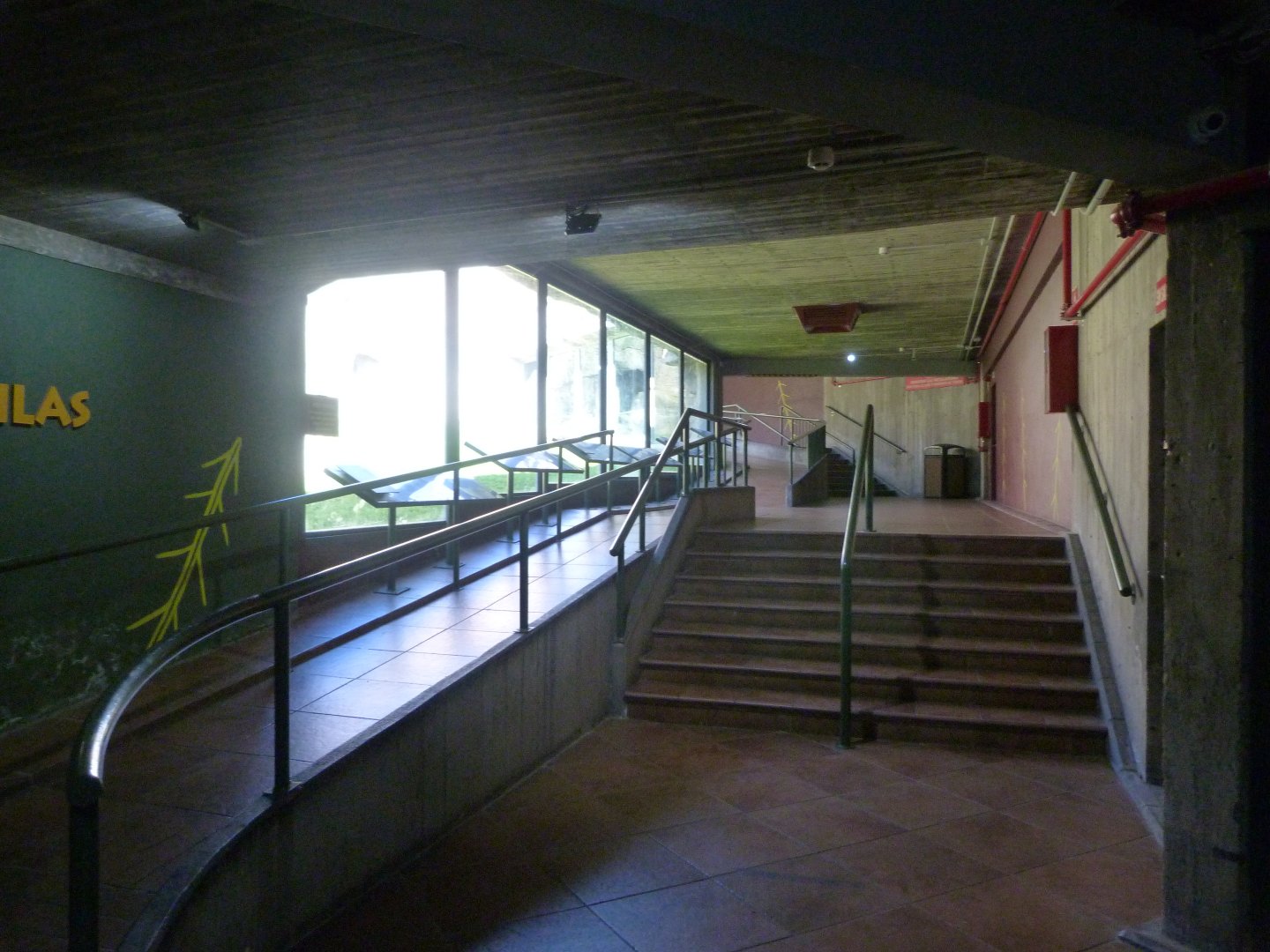 "Tierra de Gorilas" pavilion view -Zoo Aquarium de Madrid (2025)