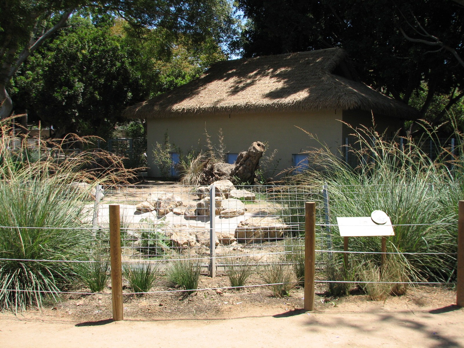 Tierra de las Pampas - Giant Anteater Exhibit Viewing Area