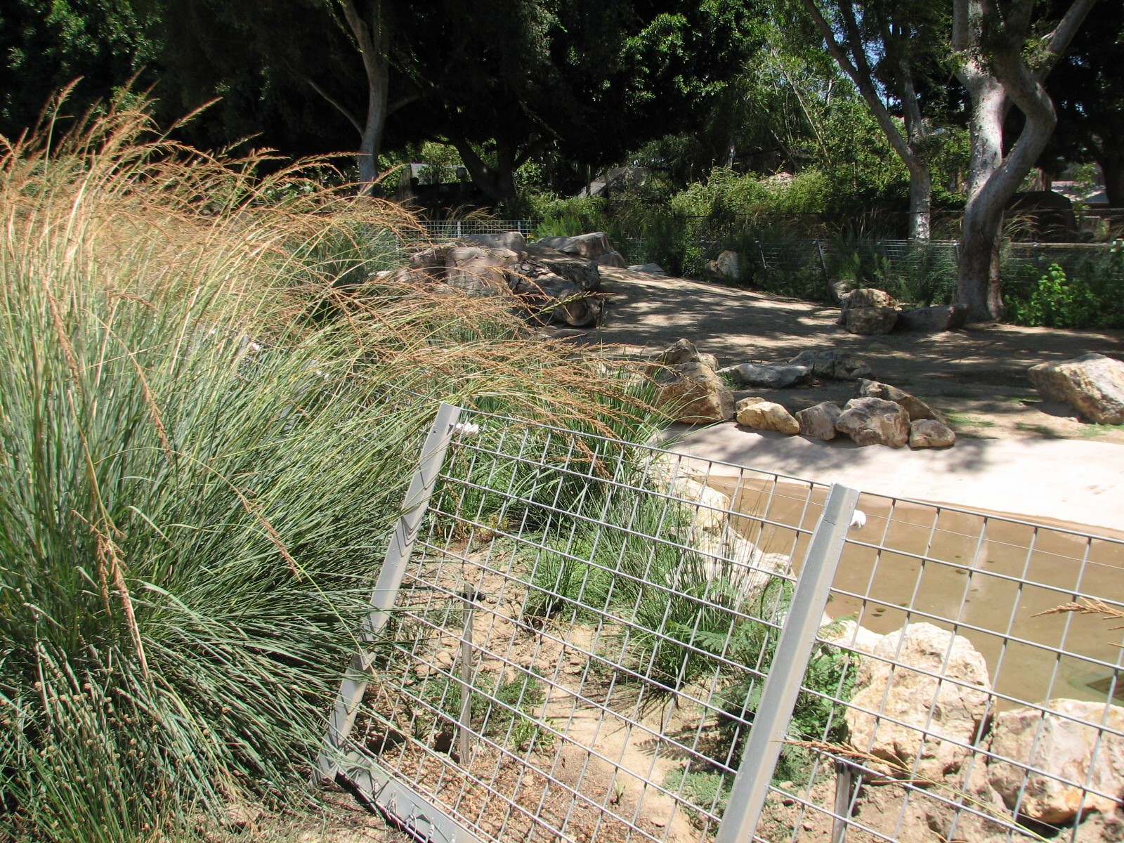 Tierra de las Pampas - Giant Anteater Exhibit