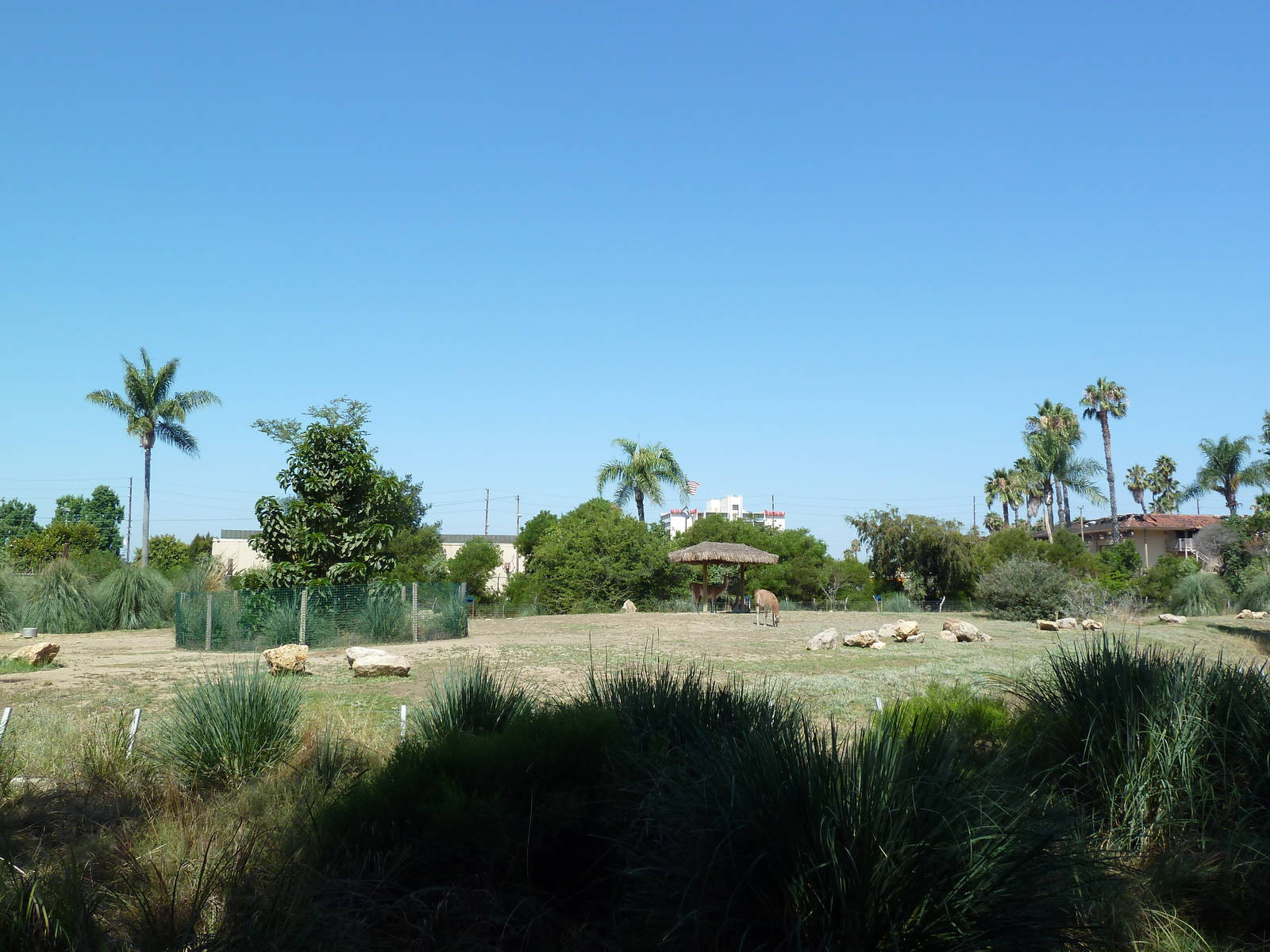 Tierra de las Pampas - Guanaco Exhibit