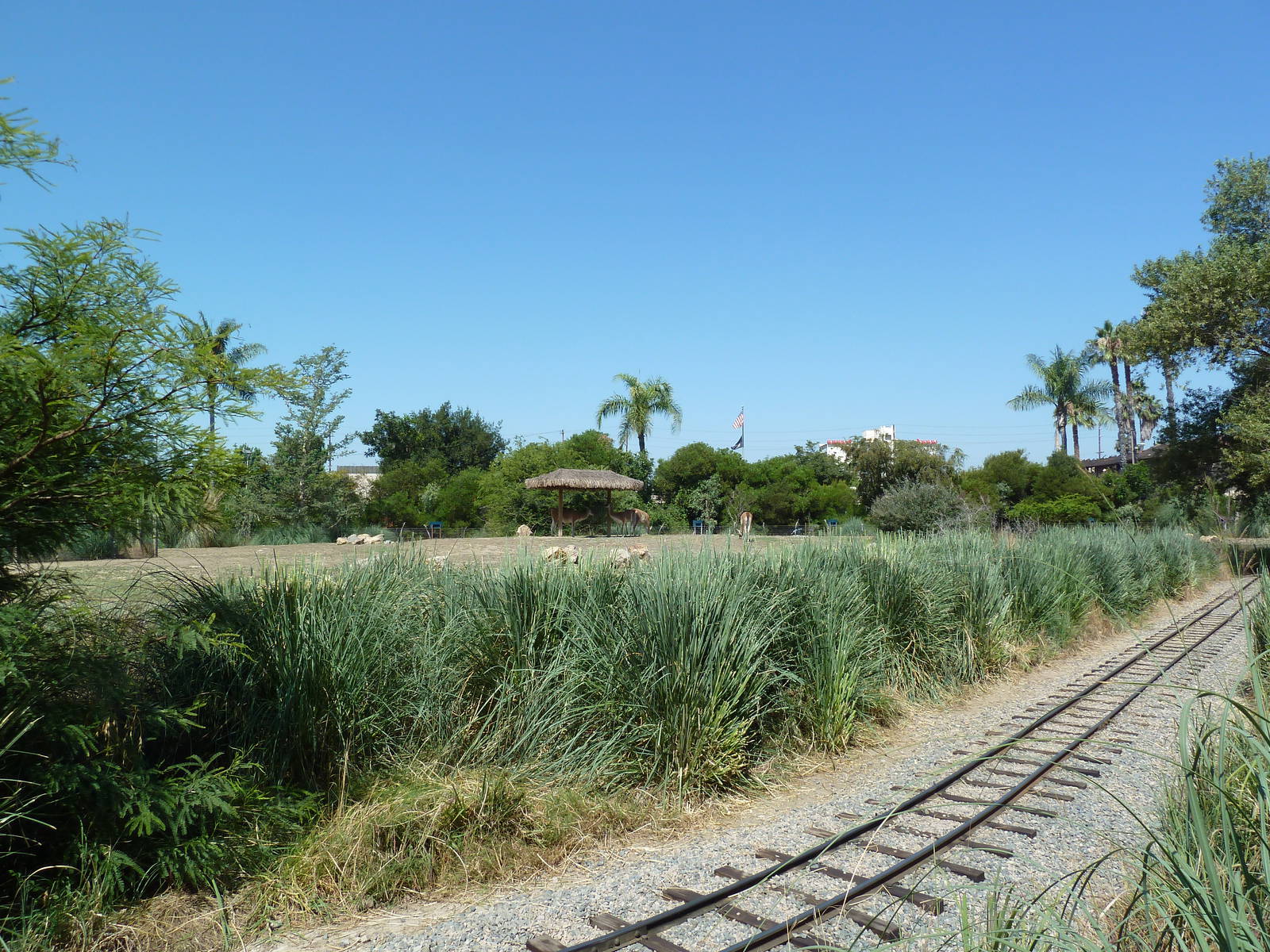 Tierra de las Pampas - Guanaco Exhibit