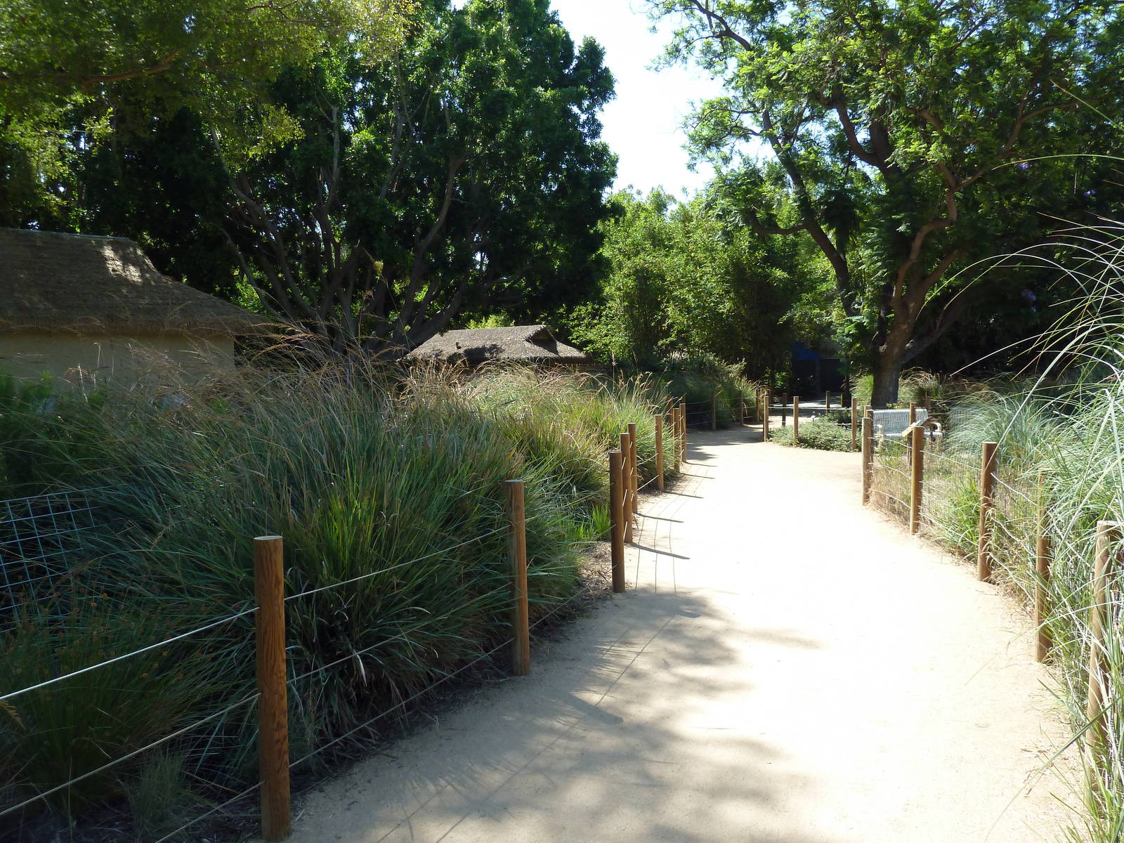 Tierra de las Pampas - Pathway