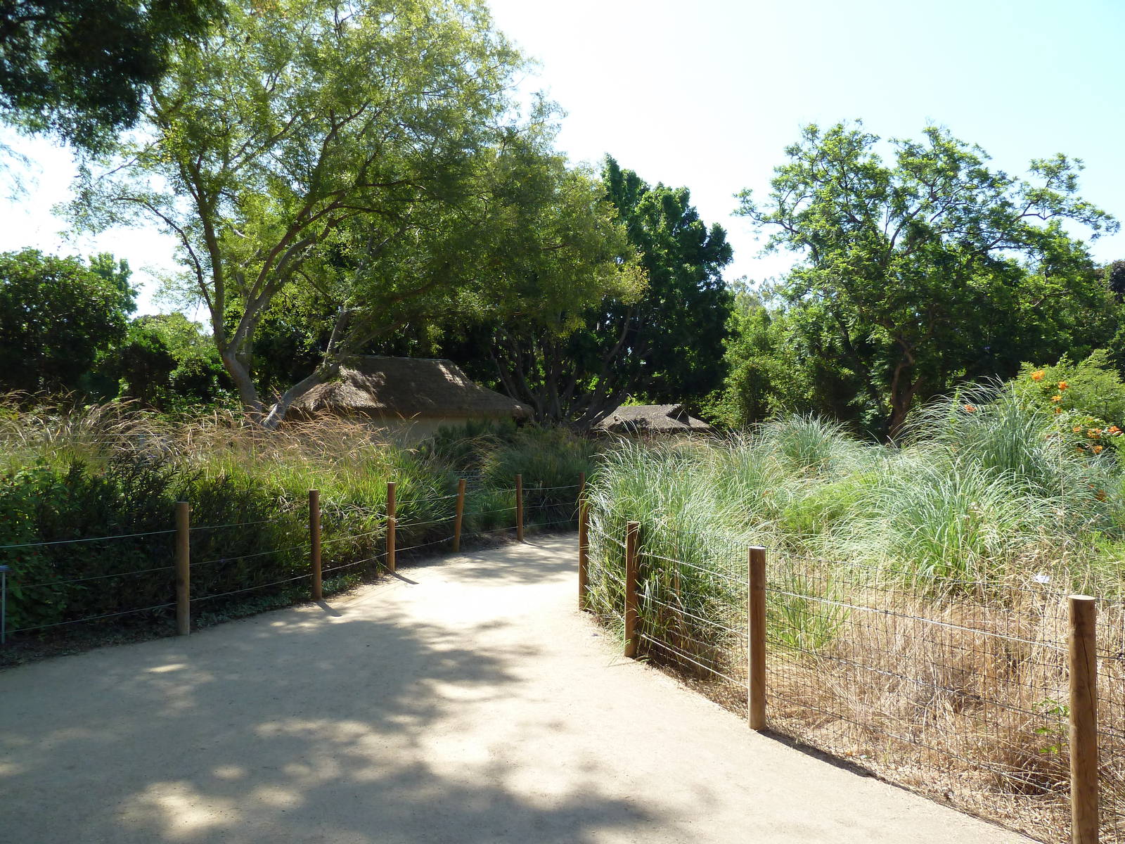 Tierra de las Pampas - Pathway
