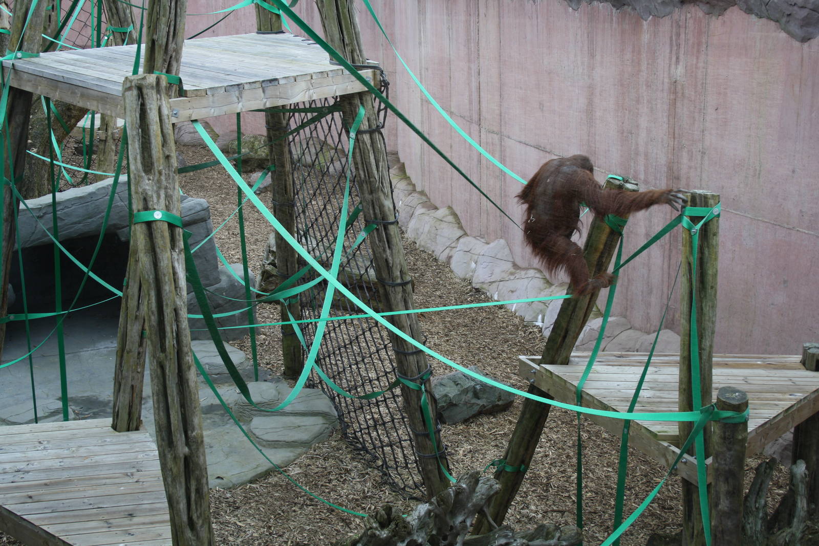 Tiga - 14 March 2010