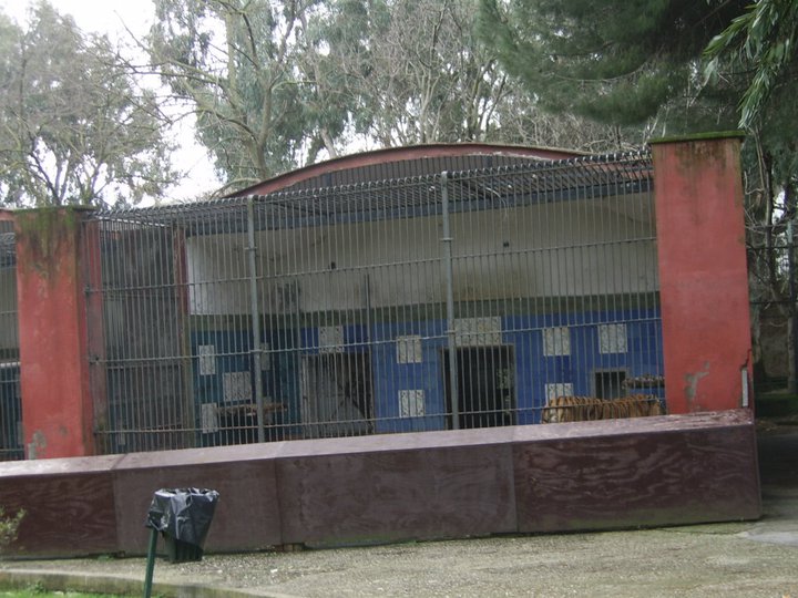 Tiger Accomodation 2010