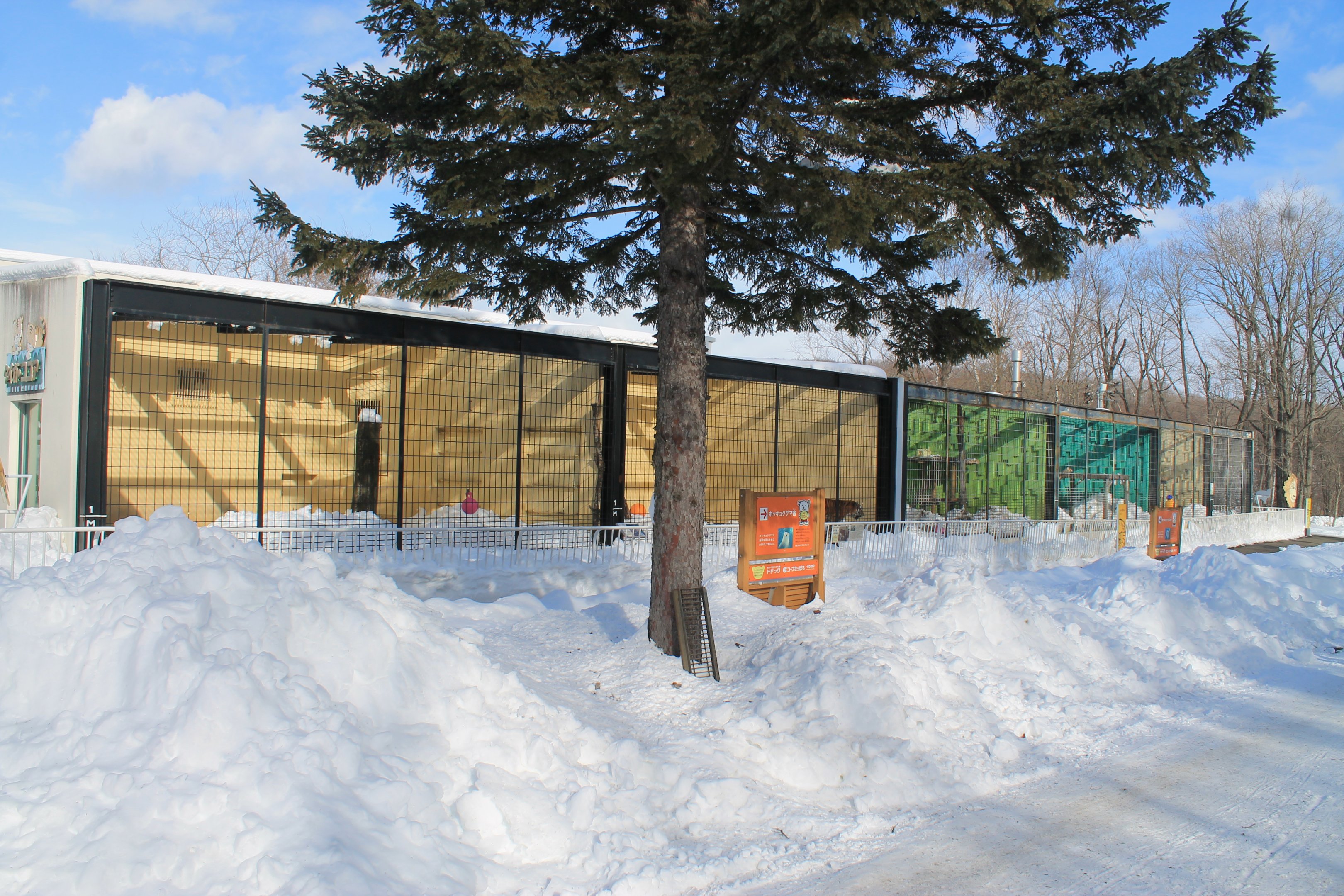 Tiger and Lion cages, Kushiro Zoo