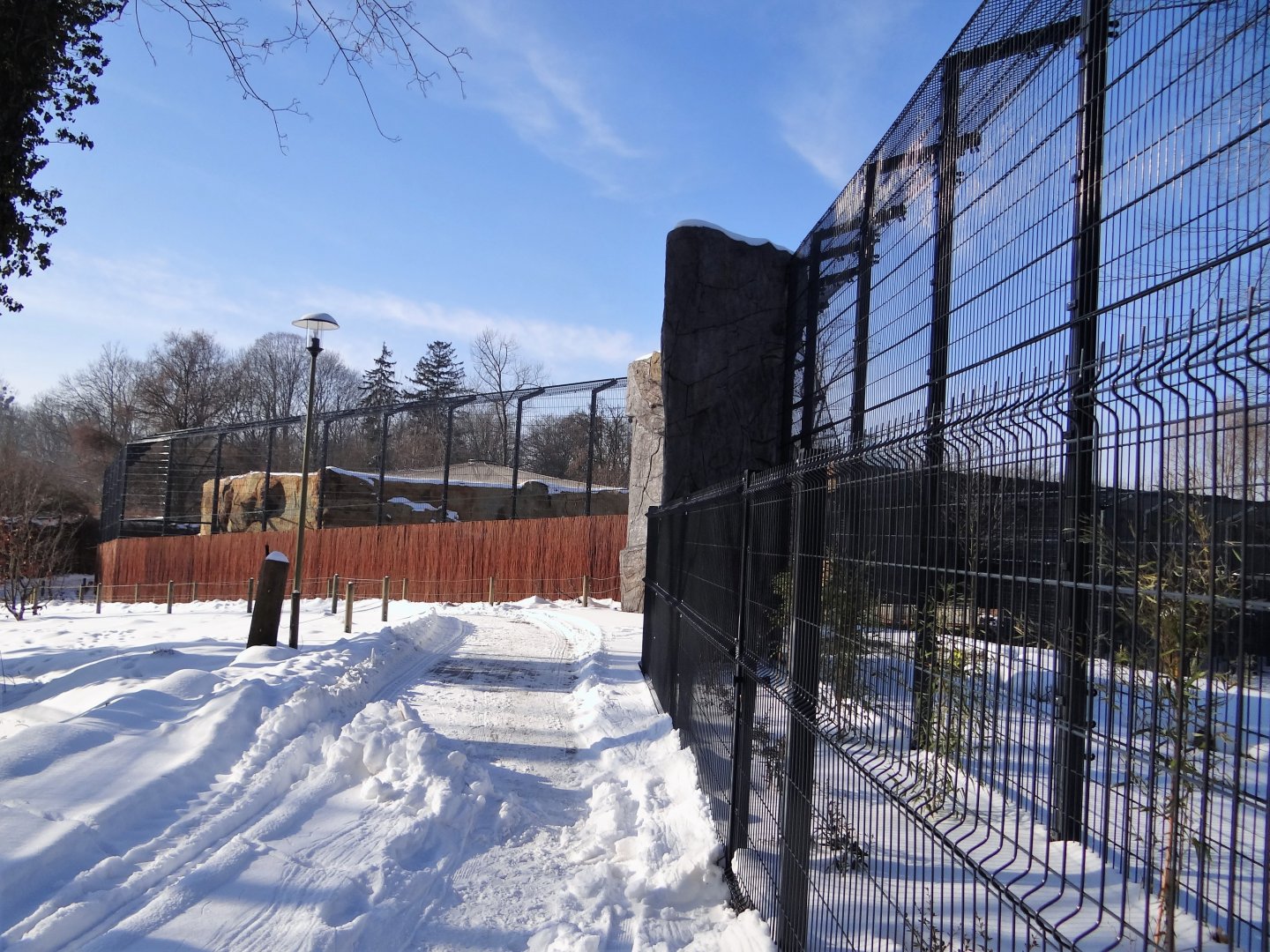 Tiger (and lion) enclosure under construction