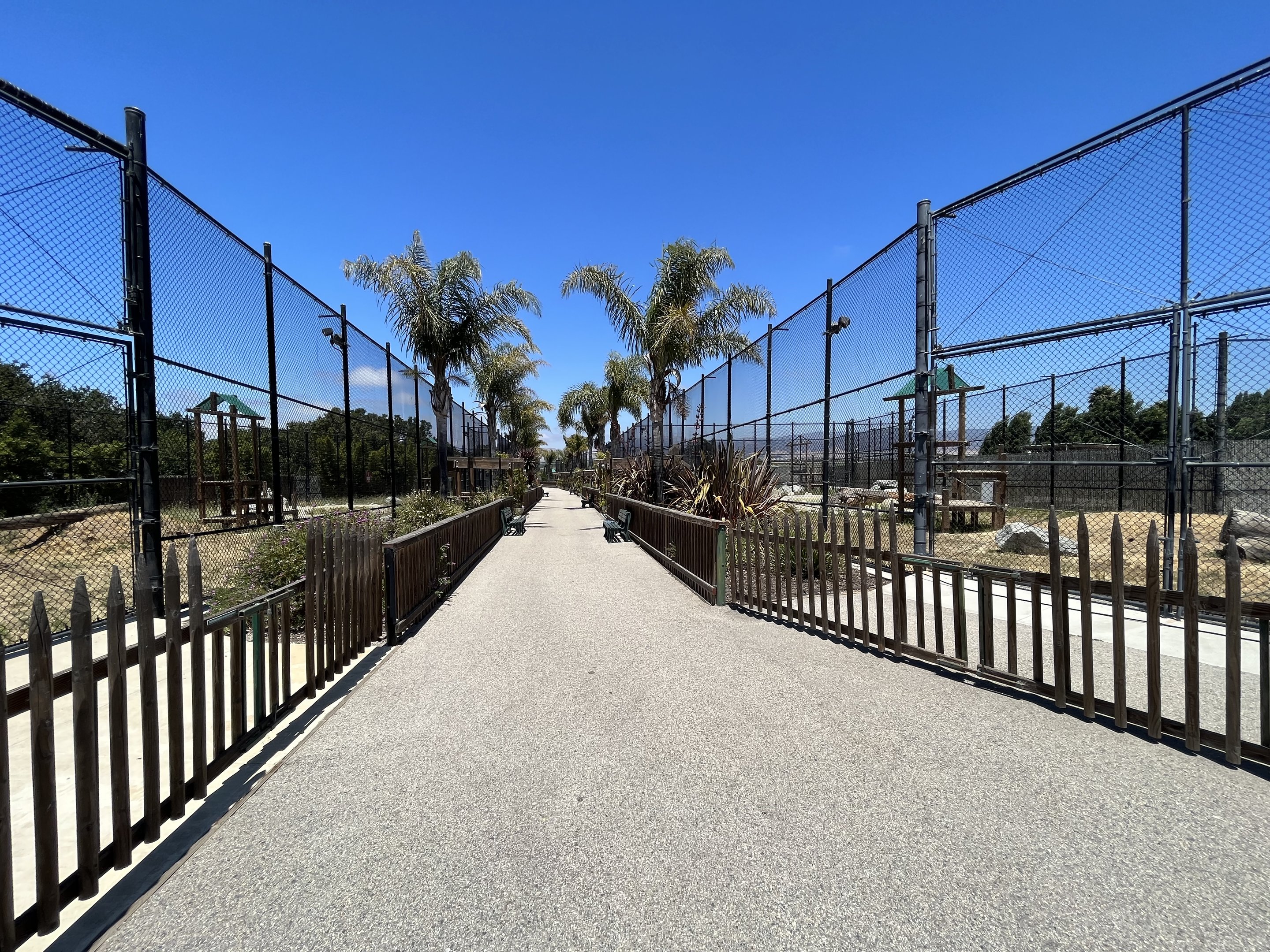 Tiger and Lion Exhibits