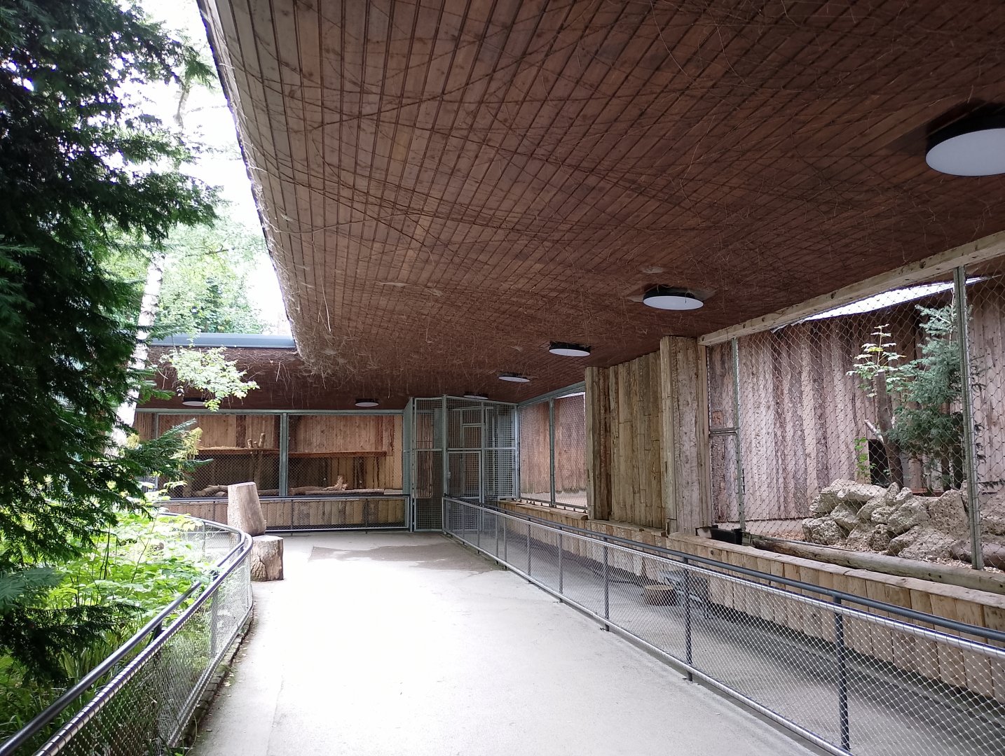 Tiger and lynx... "indoor" enclosures?