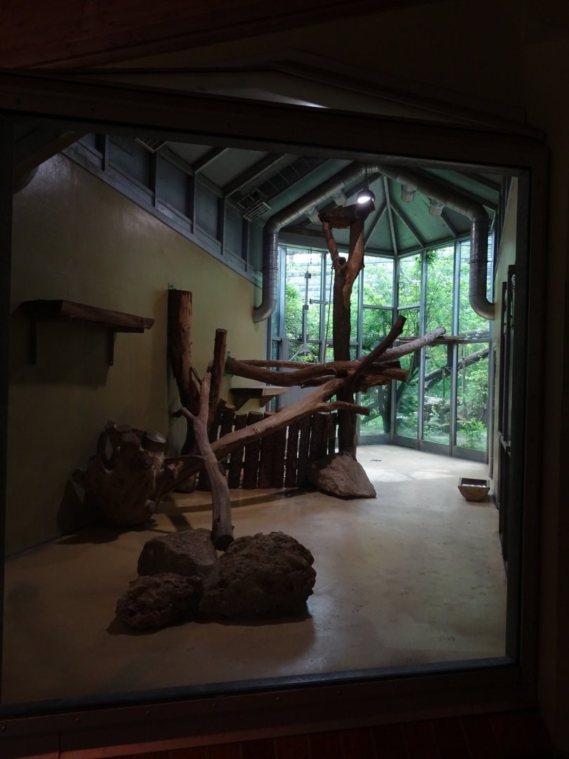 Tiger and Nocturnal House: Leopard indoor enclosure