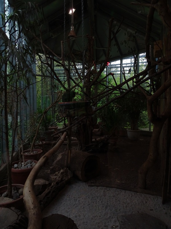 Tiger and Nocturnal House: Mixed South-American enclosure