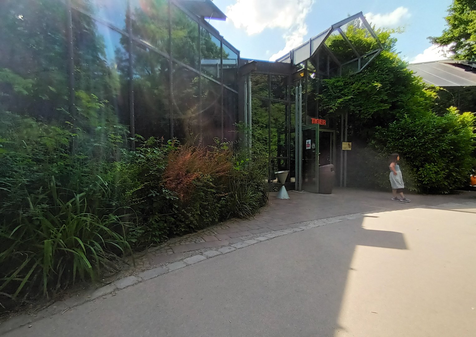 Tiger and Nocturnal House