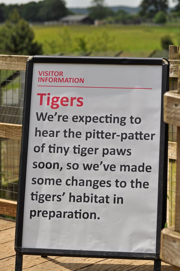 Tiger announcement sign June 2018