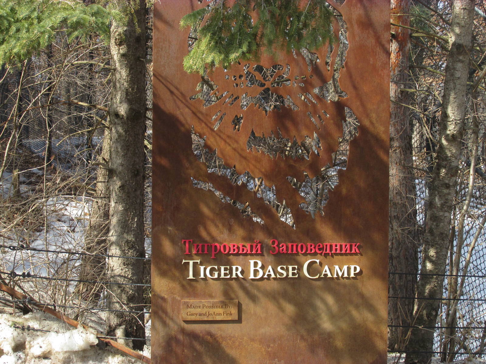 Tiger Base Camp